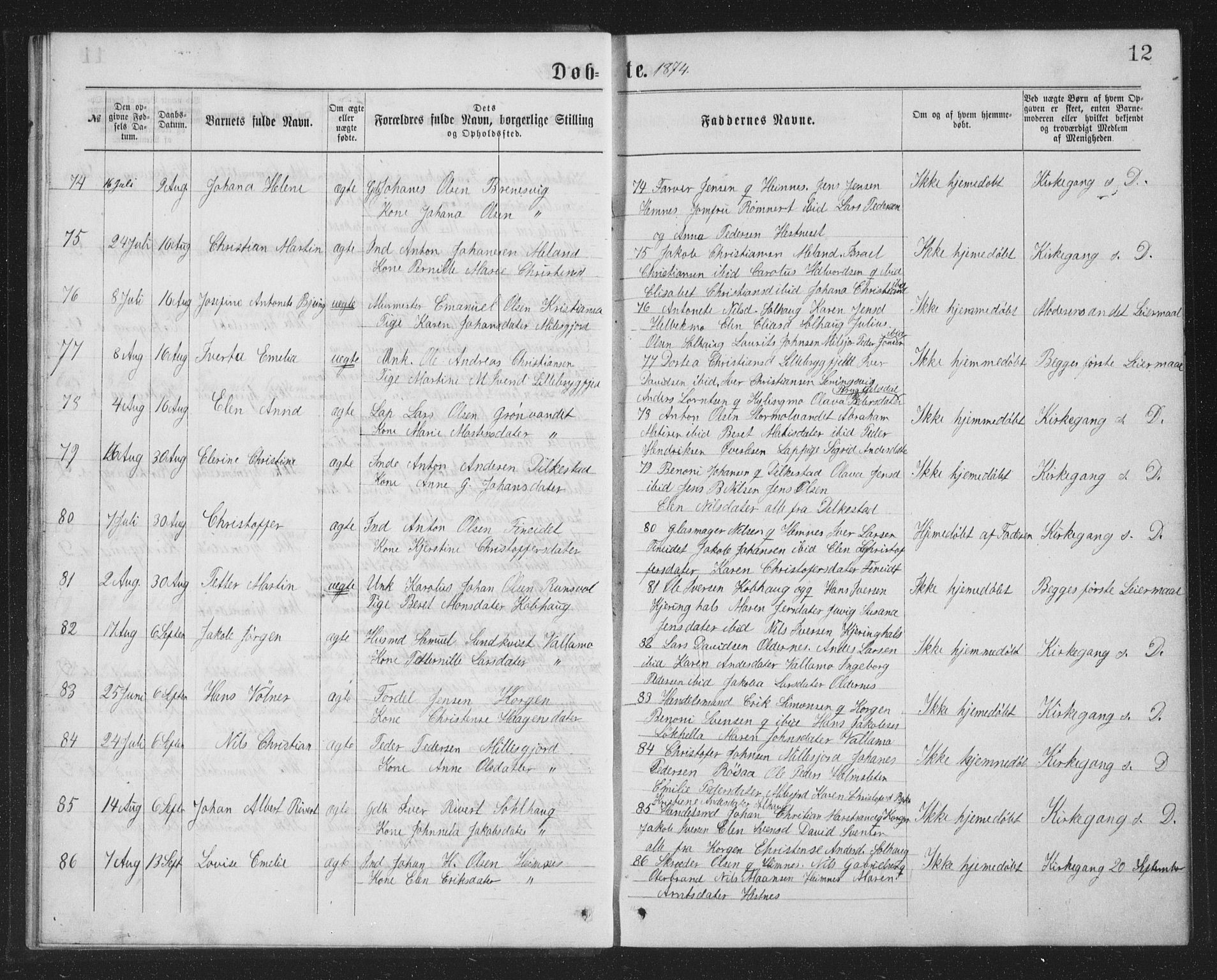 Ministerialprotokoller, klokkerbøker og fødselsregistre - Nordland, AV/SAT-A-1459/825/L0369: Parish register (copy) no. 825C06, 1873-1885, p. 12