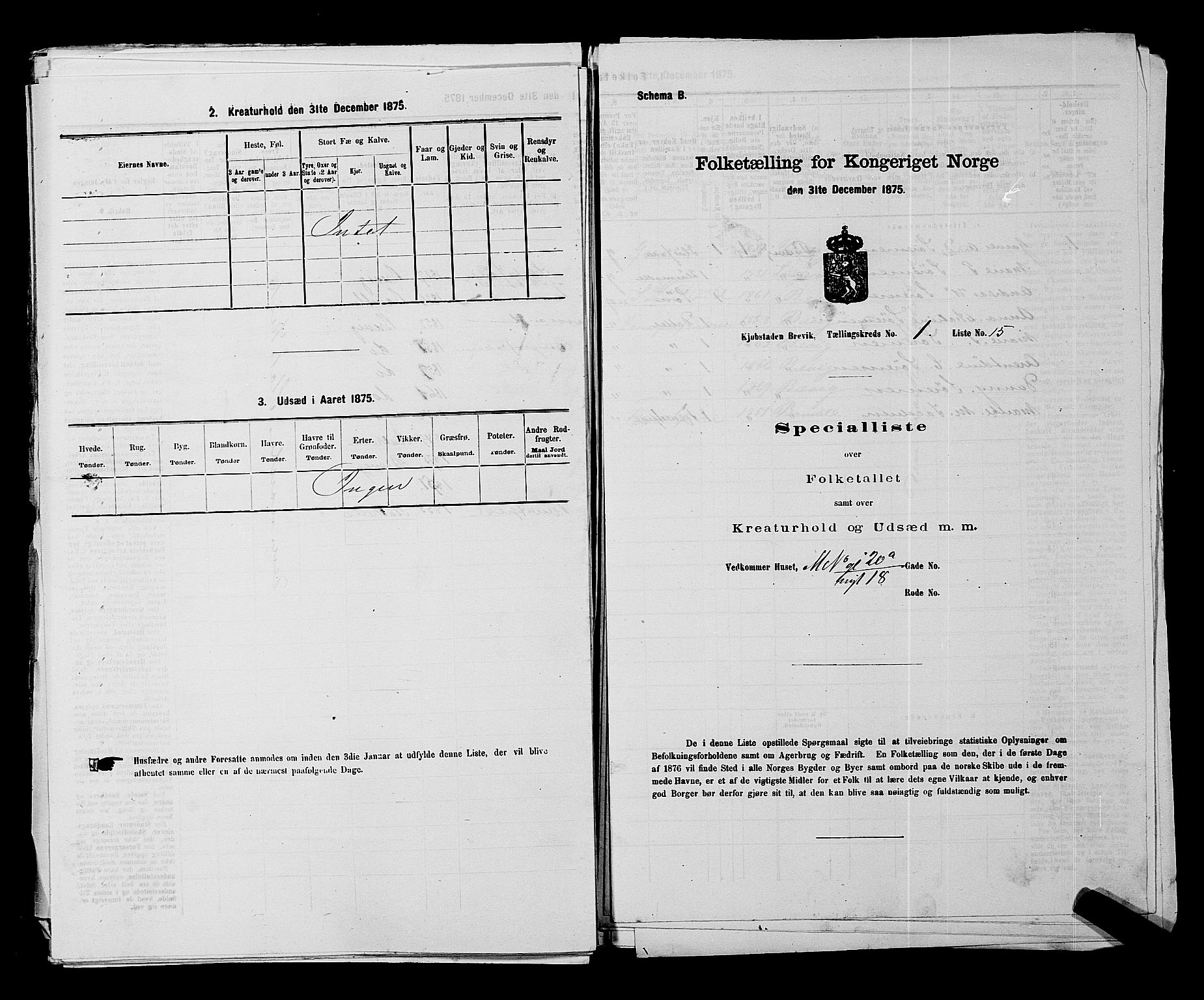 SAKO, 1875 census for 0804P Brevik, 1875, p. 51