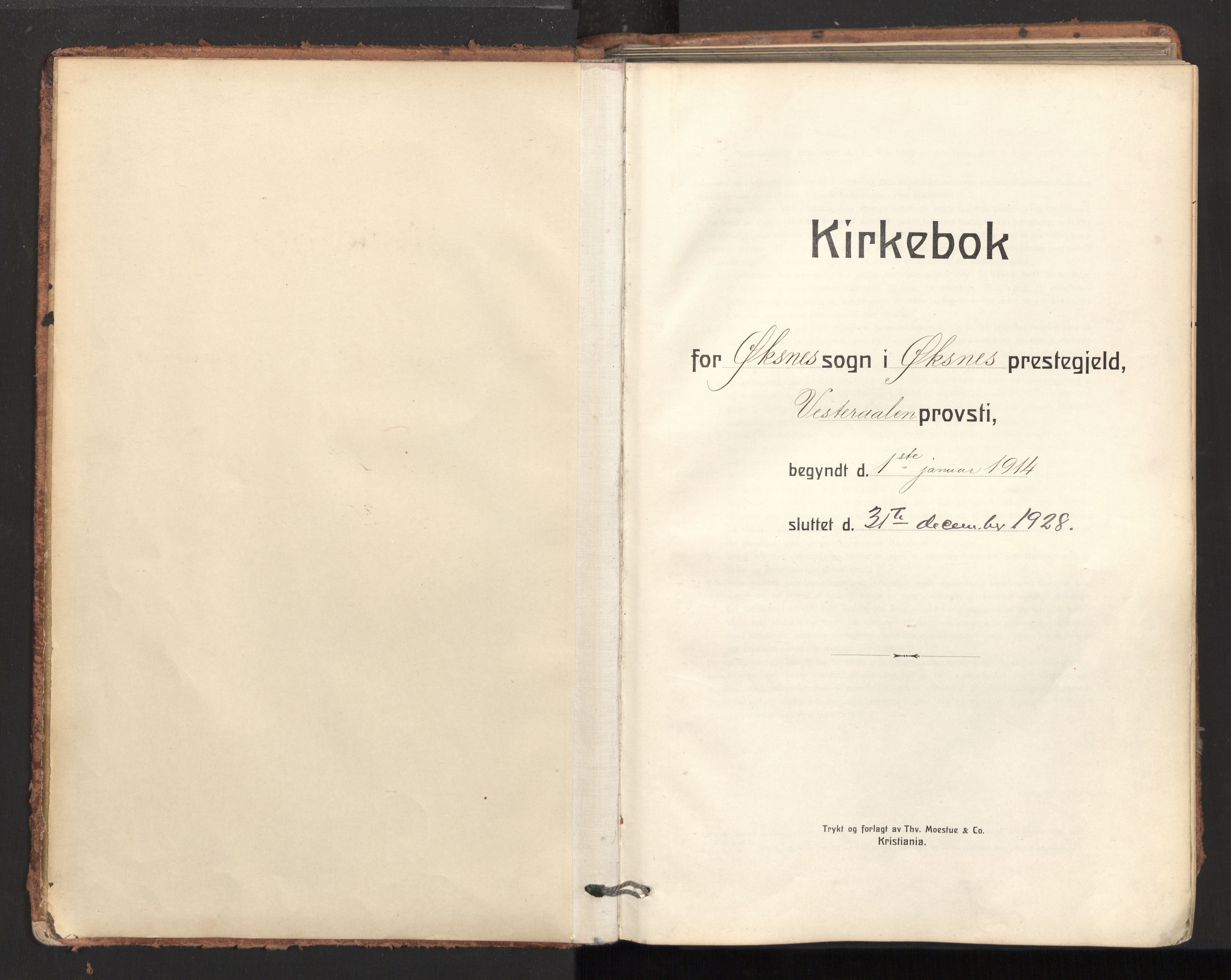 Ministerialprotokoller, klokkerbøker og fødselsregistre - Nordland, SAT/A-1459/893/L1343: Parish register (official) no. 893A15, 1914-1928