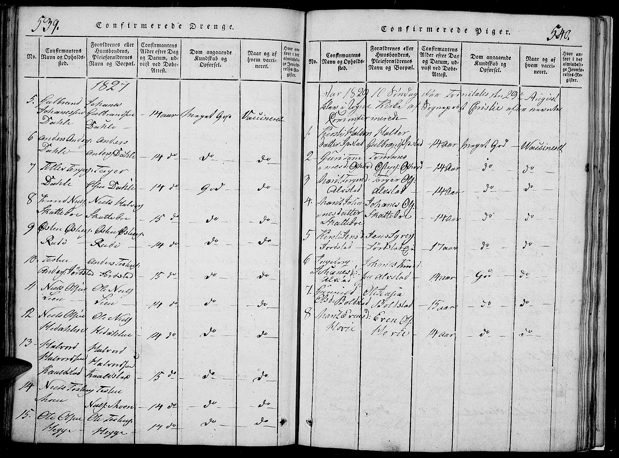 Slidre prestekontor, SAH/PREST-134/H/Ha/Hab/L0002: Parish register (copy) no. 2, 1814-1839, p. 539-540