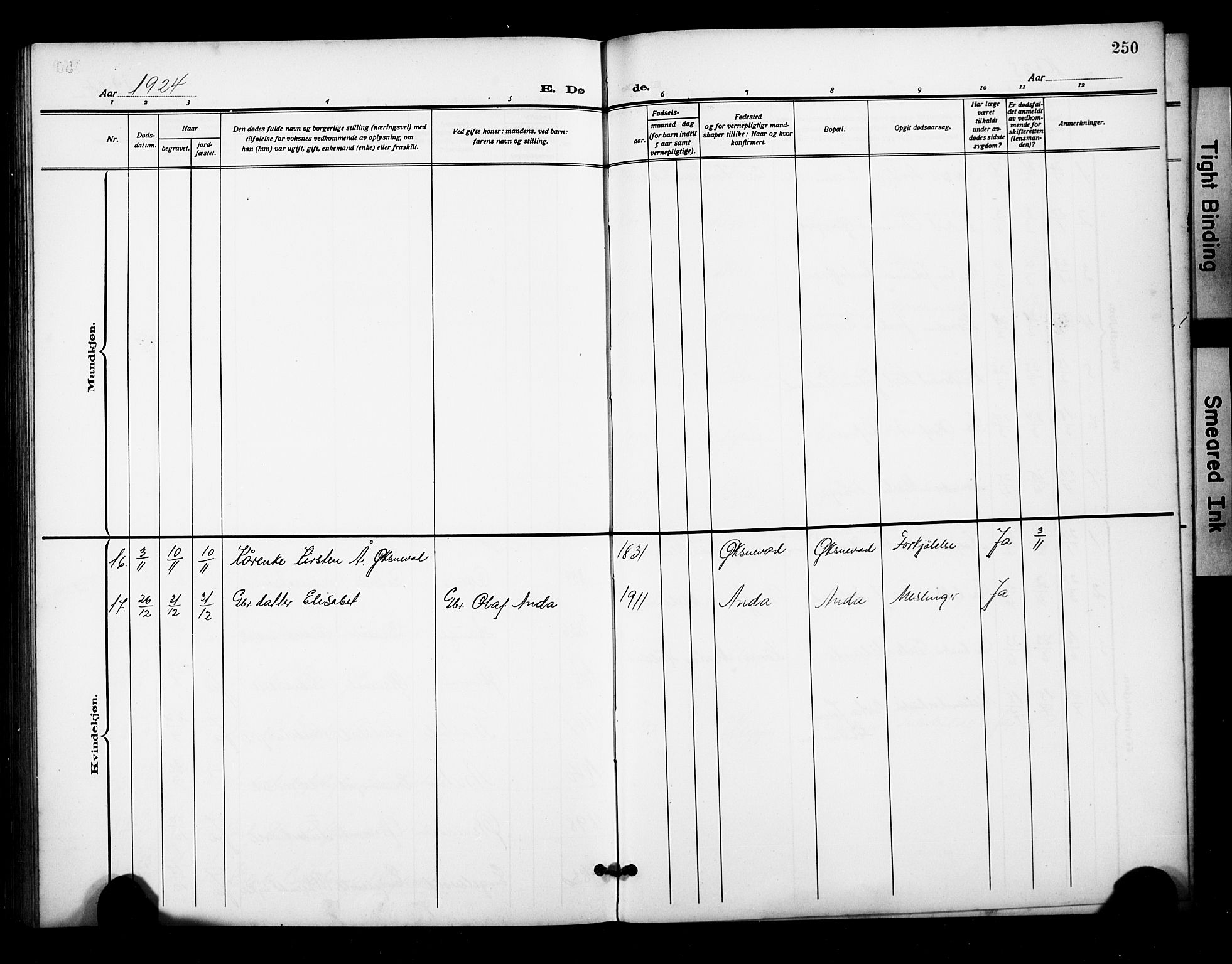 Klepp sokneprestkontor, AV/SAST-A-101803/001/3/30BB/L0007: Parish register (copy) no. B 7, 1908-1934, p. 250