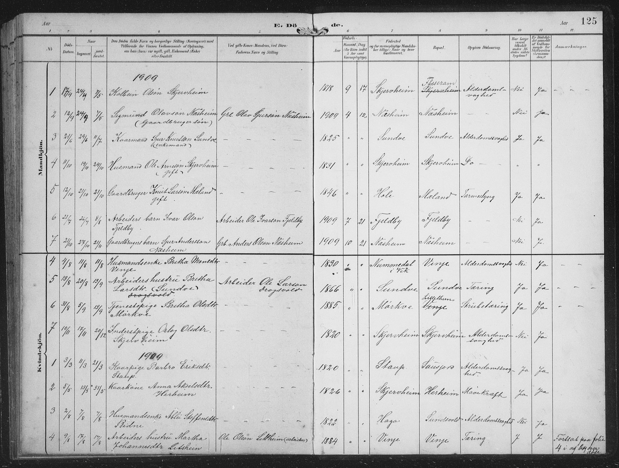 Vossestrand Sokneprestembete, SAB/A-79101/H/Hab: Parish register (copy) no. B 4, 1894-1941, p. 125