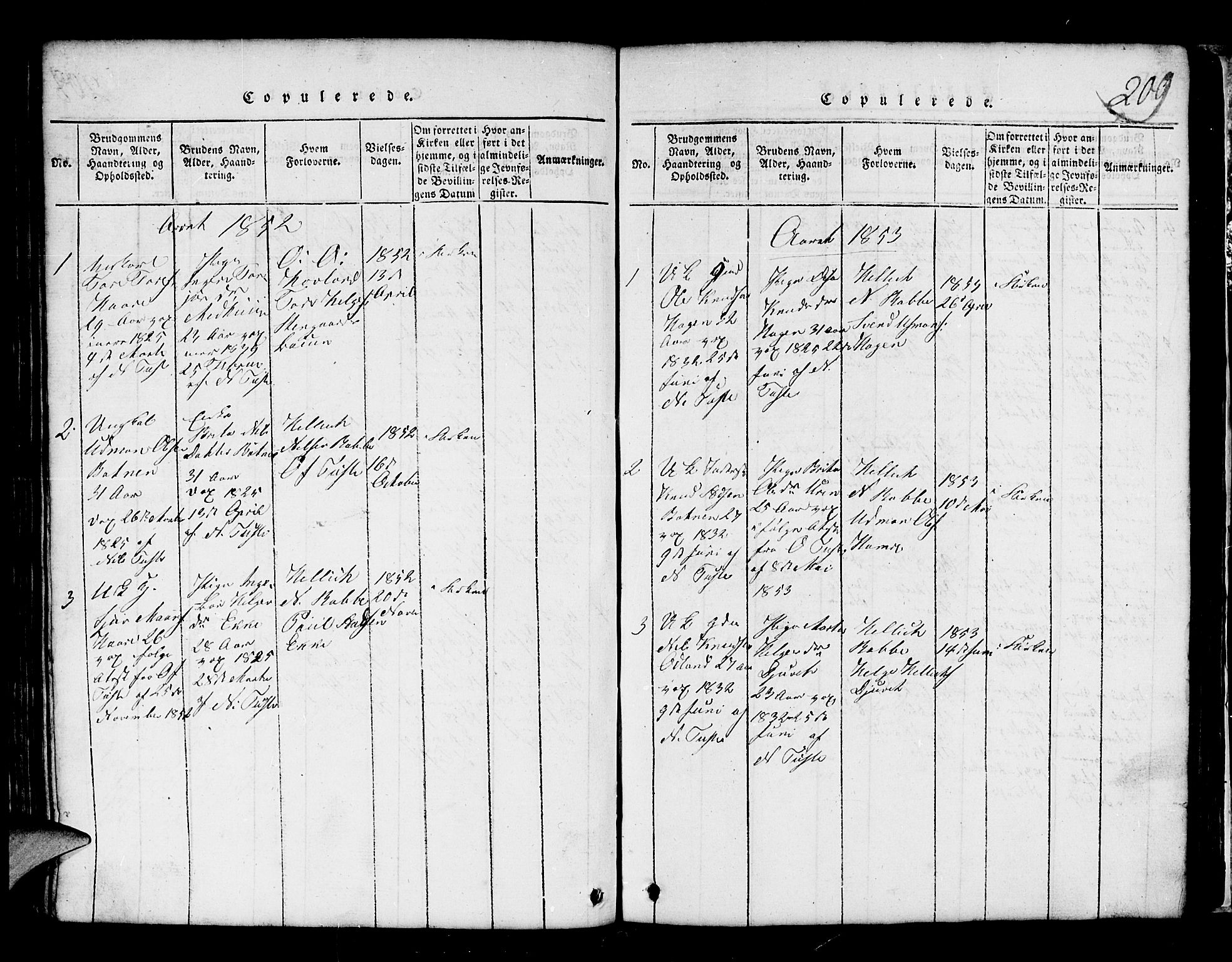 Røldal sokneprestembete, AV/SAB-A-100247: Parish register (copy) no. A 1, 1817-1860, p. 209