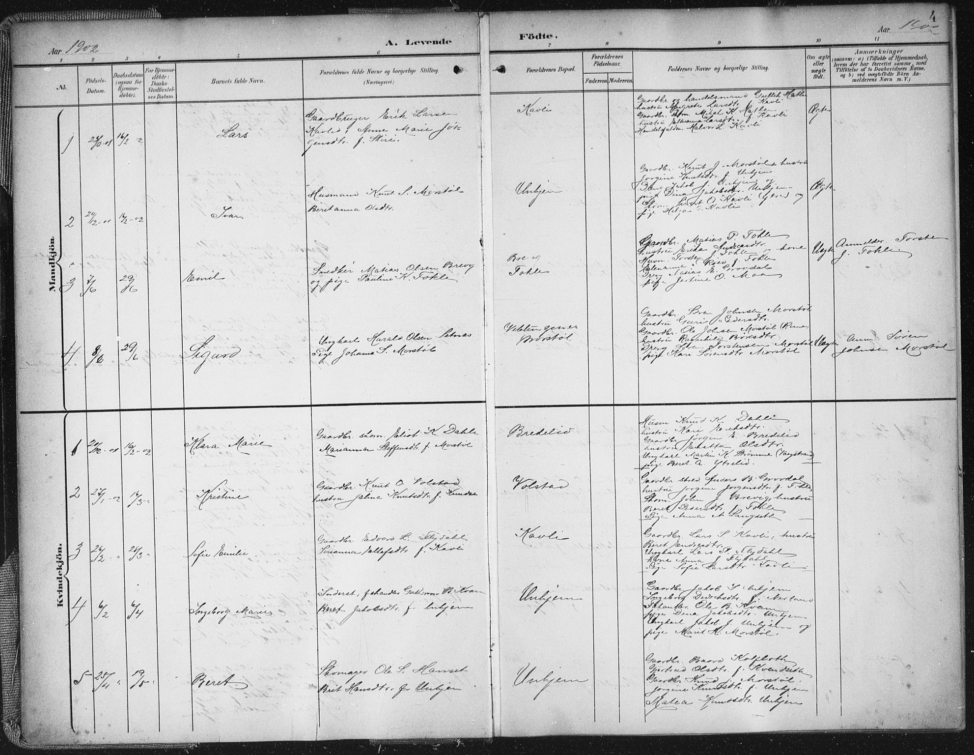Ministerialprotokoller, klokkerbøker og fødselsregistre - Møre og Romsdal, SAT/A-1454/545/L0589: Parish register (copy) no. 545C03, 1902-1937, p. 4