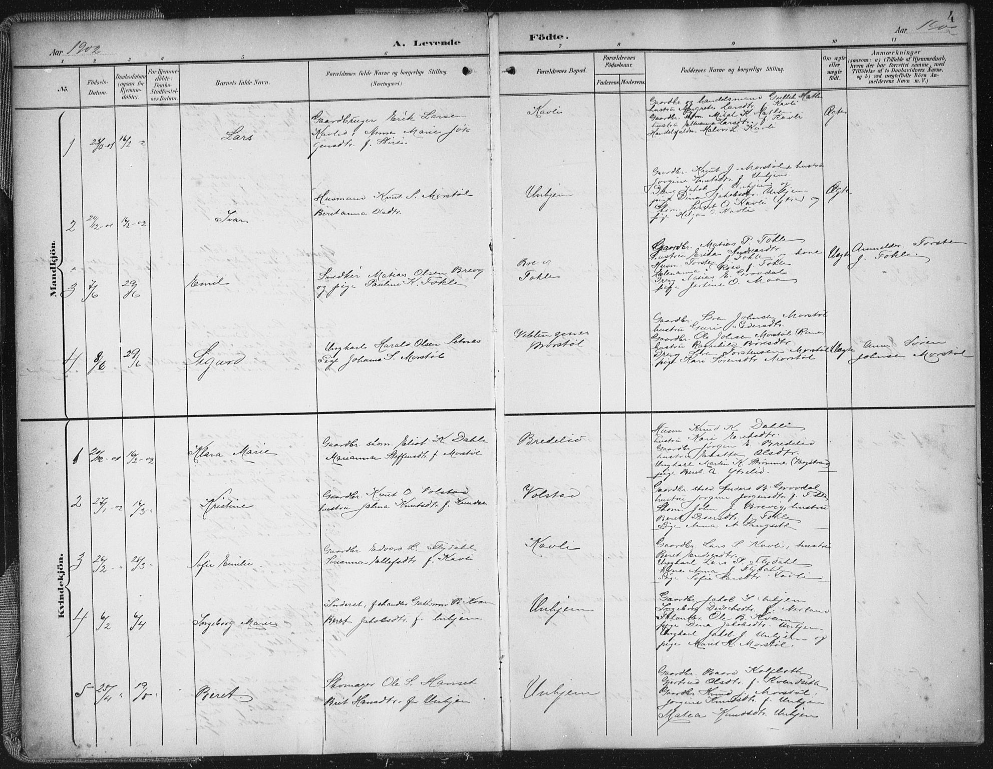 Ministerialprotokoller, klokkerbøker og fødselsregistre - Møre og Romsdal, AV/SAT-A-1454/545/L0589: Parish register (copy) no. 545C03, 1902-1937, p. 4