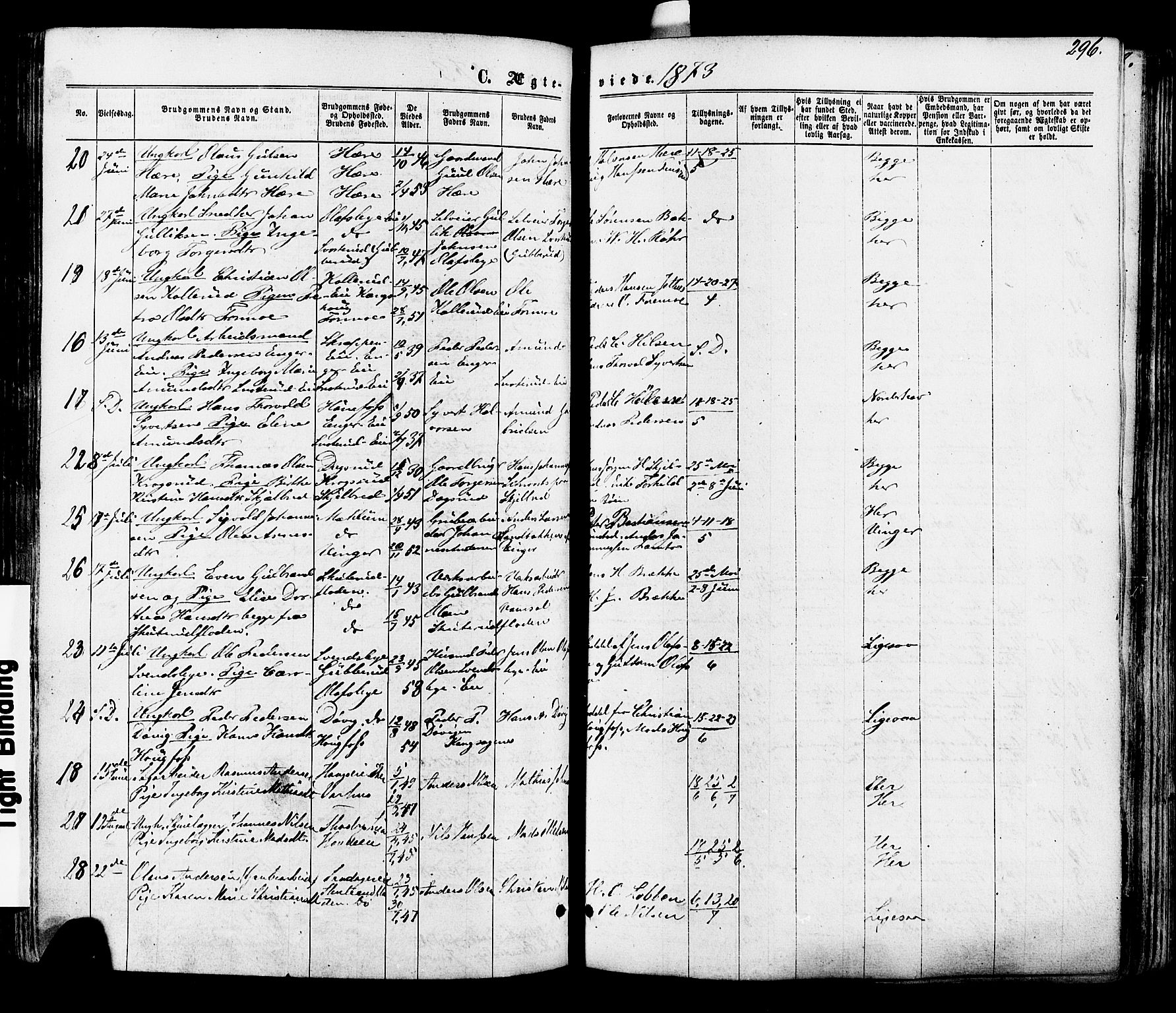 Modum kirkebøker, AV/SAKO-A-234/F/Fa/L0010: Parish register (official) no. 10, 1865-1876, p. 296