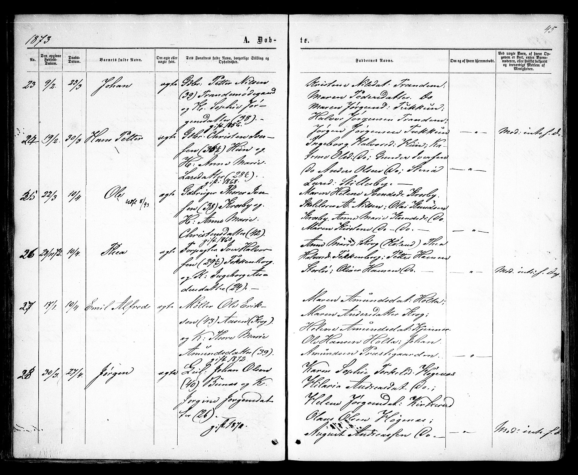 Rødenes prestekontor Kirkebøker, AV/SAO-A-2005/F/Fa/L0008: Parish register (official) no. I 8, 1869-1879, p. 45