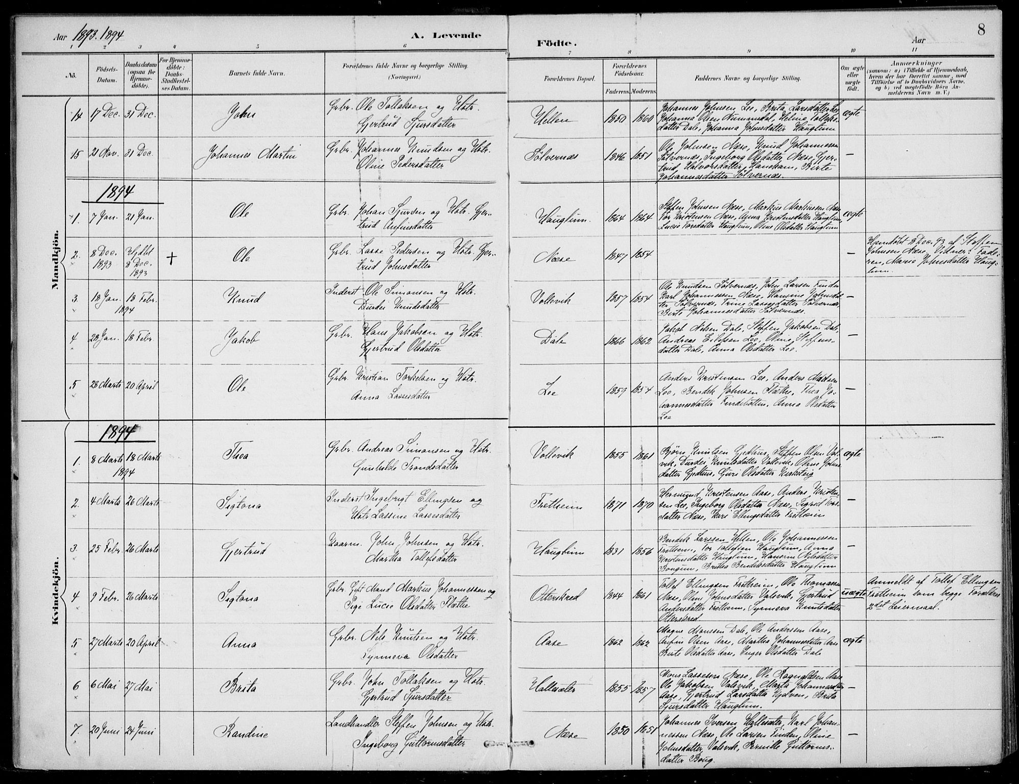 Vik sokneprestembete, SAB/A-81501: Parish register (official) no. C  2, 1891-1910, p. 8
