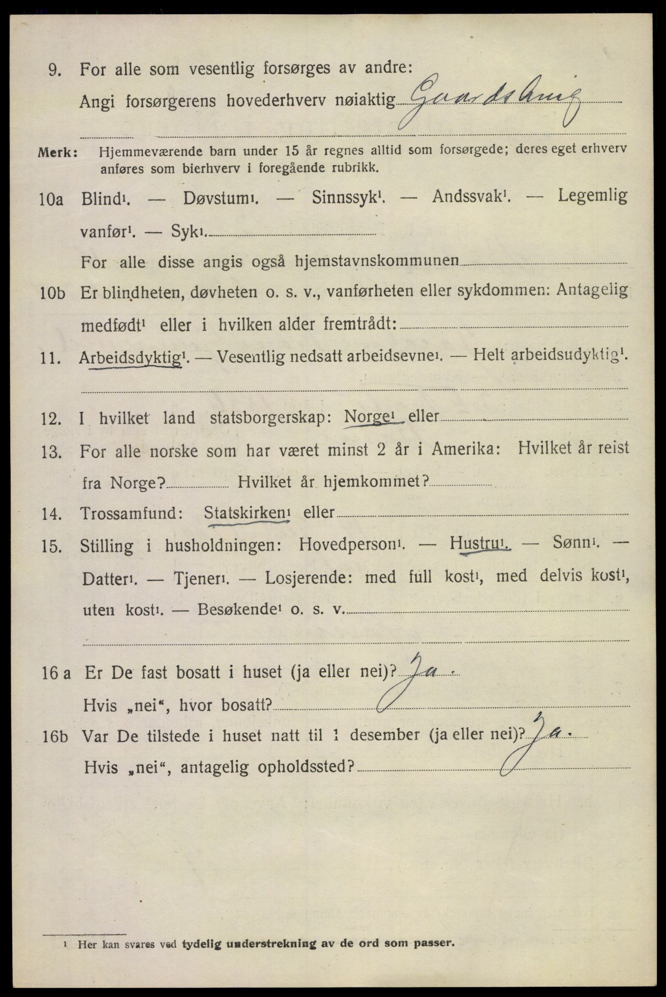 SAKO, 1920 census for Botne, 1920, p. 4162