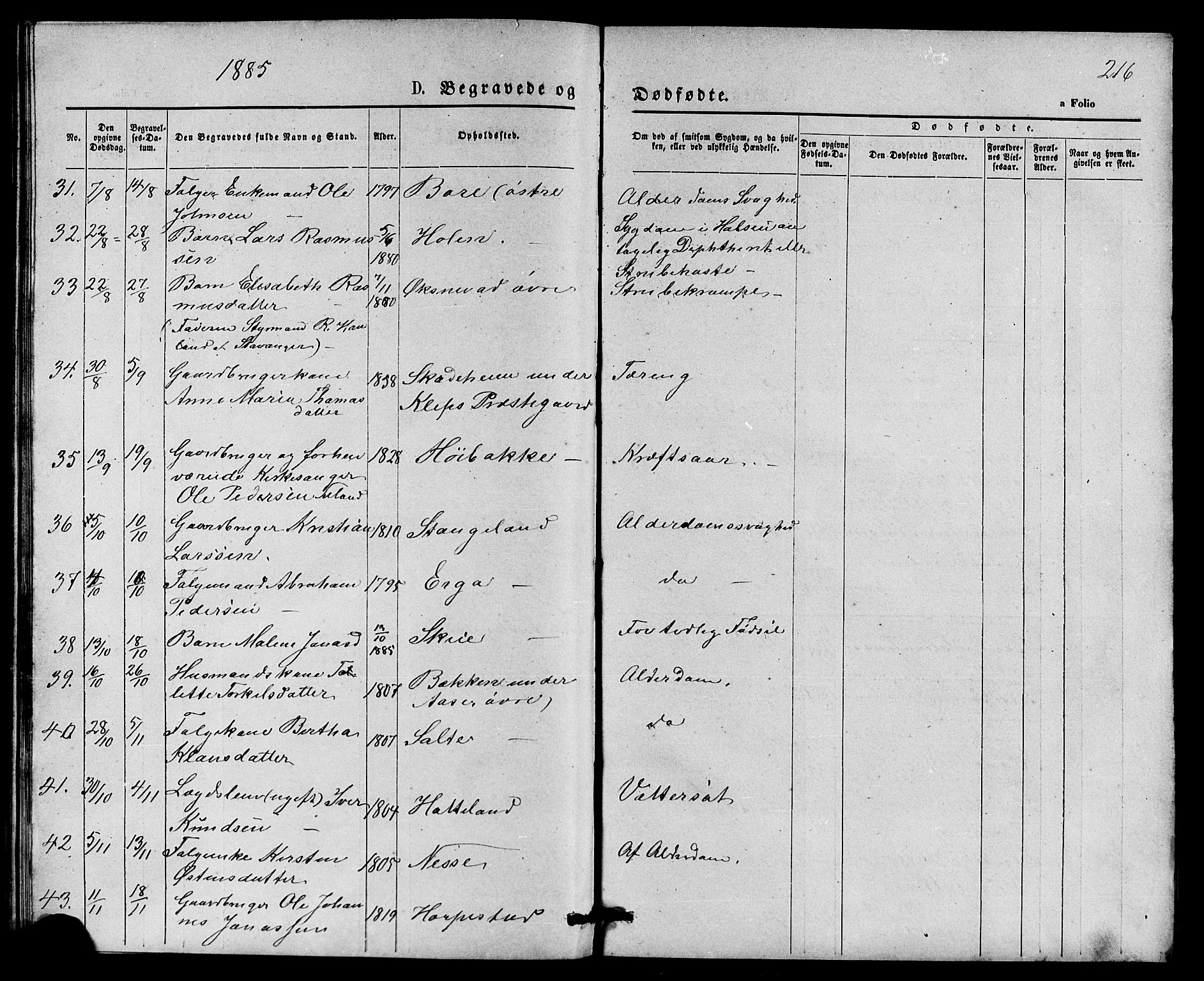 Klepp sokneprestkontor, AV/SAST-A-101803/001/3/30BB/L0003: Parish register (copy) no. B 3, 1876-1888, p. 216