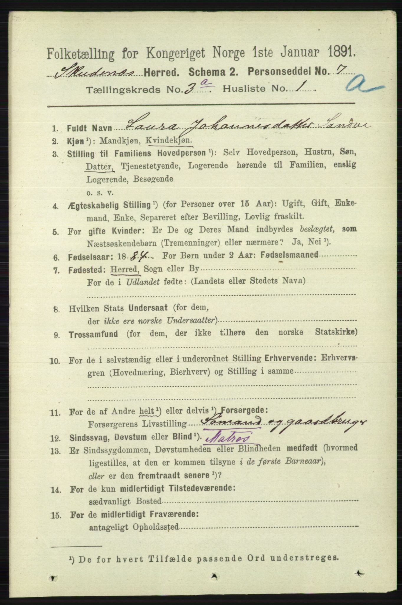 RA, 1891 census for 1150 Skudenes, 1891, p. 1381