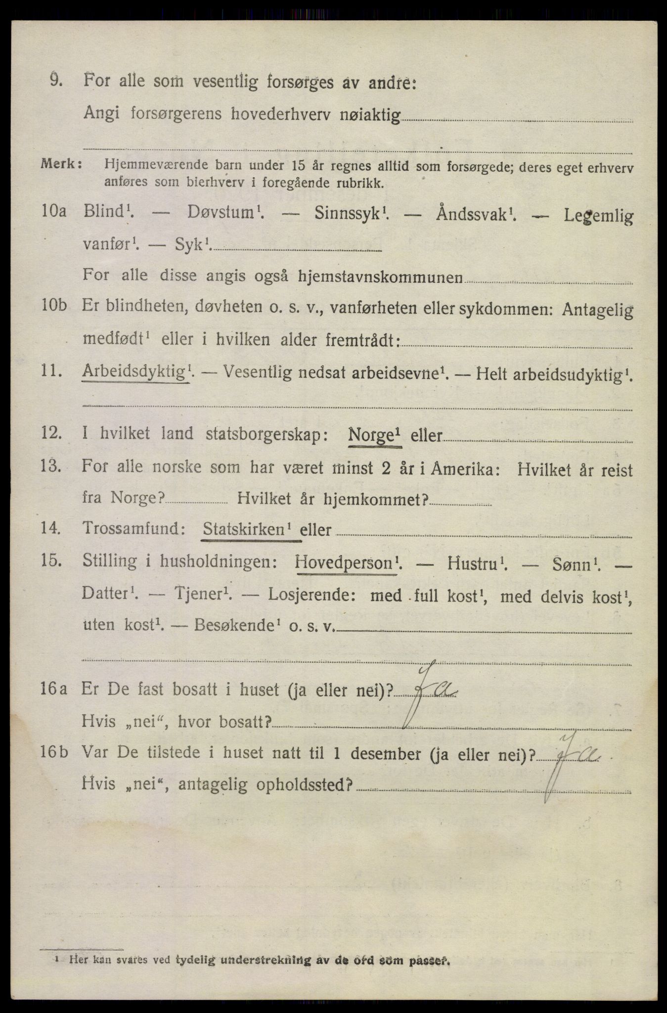 SAKO, 1920 census for Våle, 1920, p. 1101