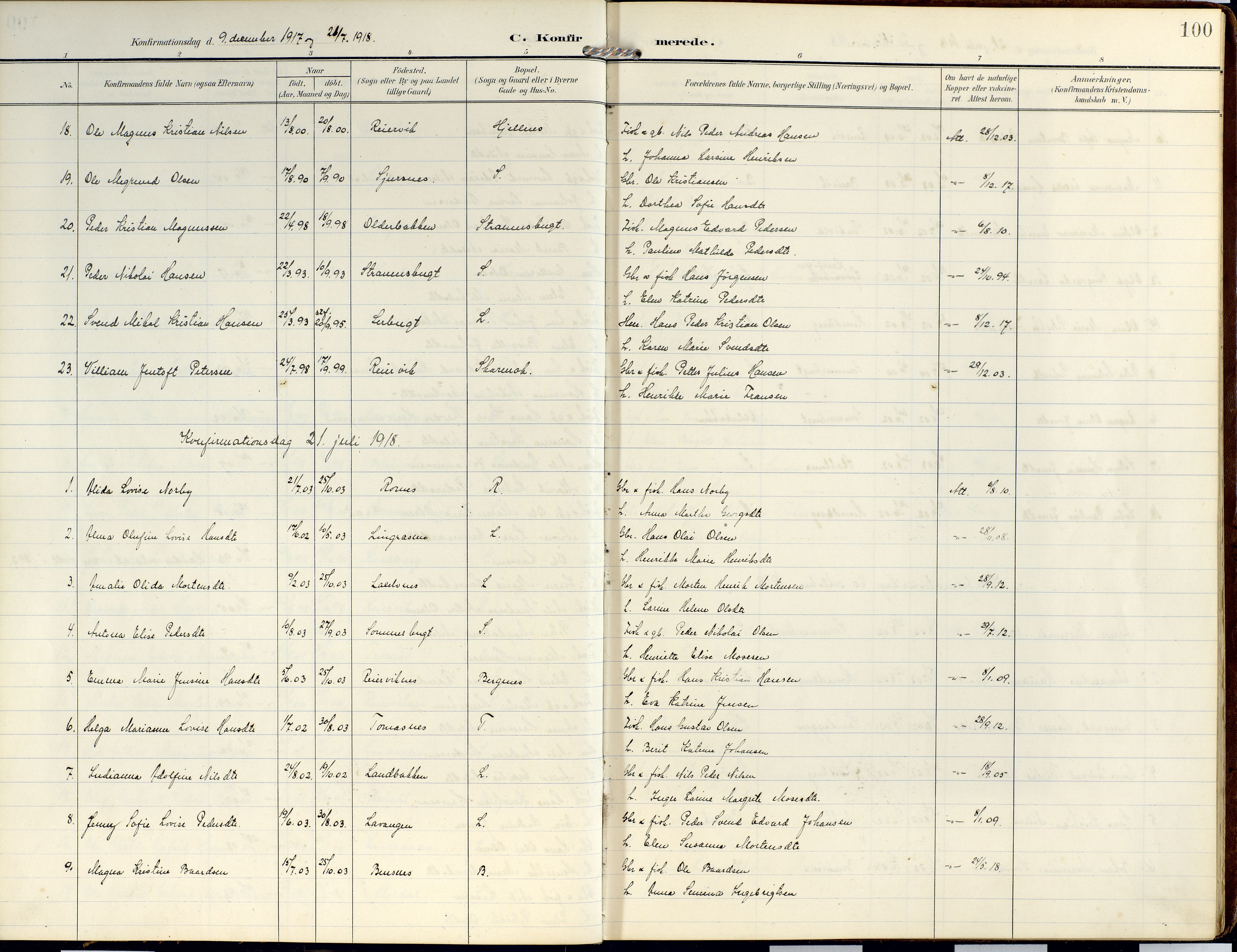 Lyngen sokneprestembete, SATØ/S-1289/H/He/Hea/L0014kirke: Parish register (official) no. 14, 1905-1920, p. 100