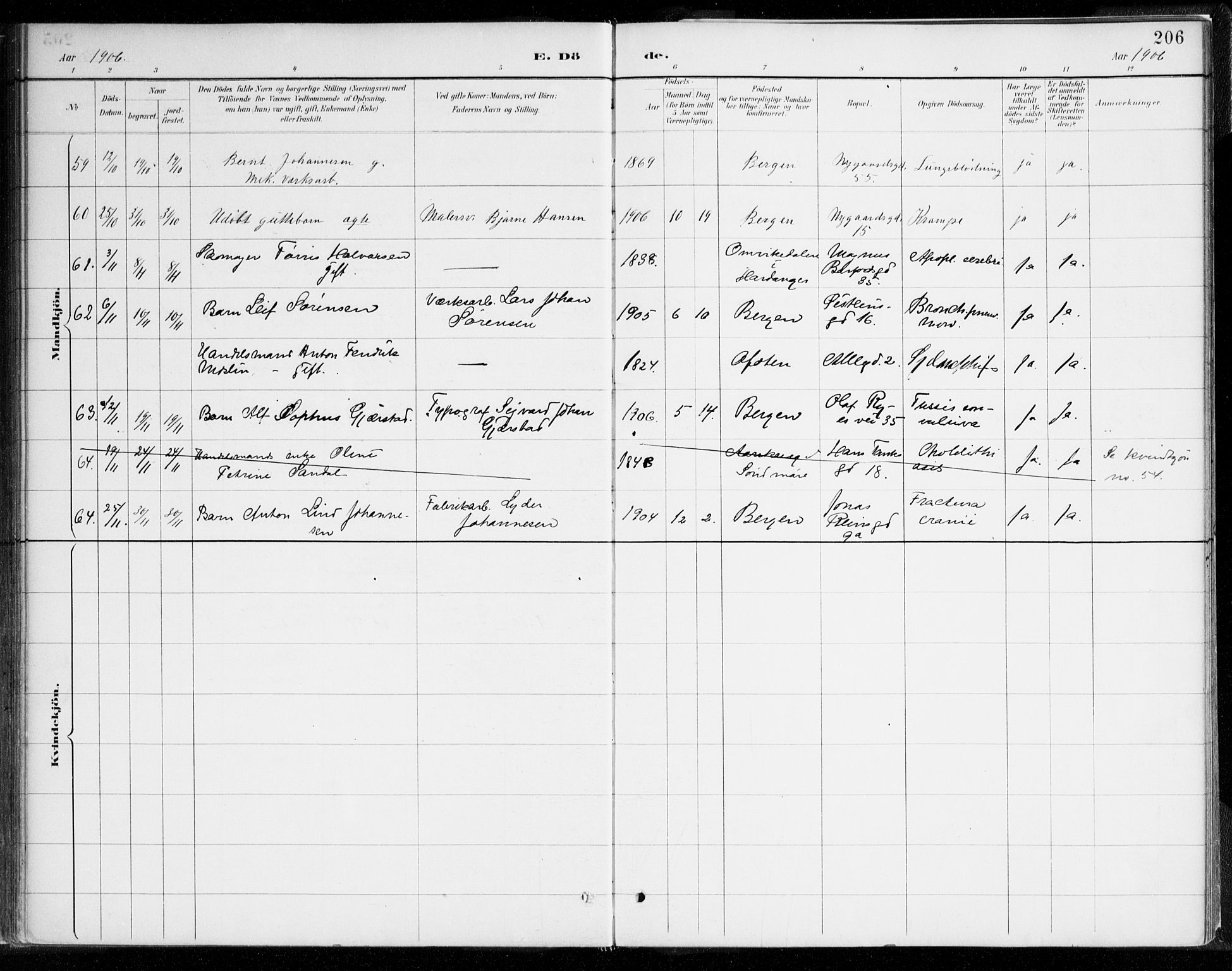 Johanneskirken sokneprestembete, AV/SAB-A-76001/H/Haa/L0019: Parish register (official) no. E 1, 1885-1915, p. 206