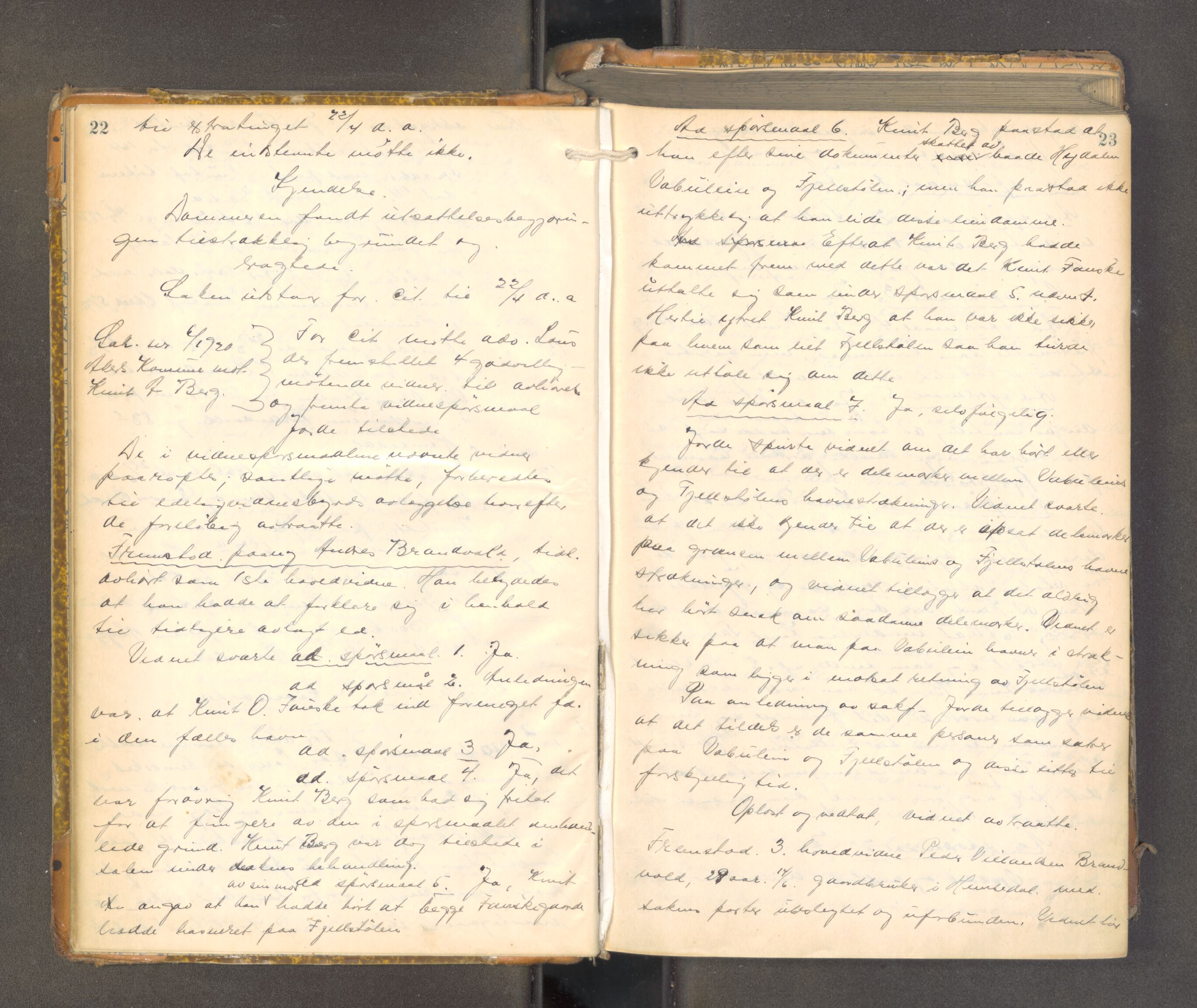 Hallingdal sorenskriveri, AV/SAKO-A-121/F/Fa/L0029: Tingbok, 1922-1924, p. 22-23