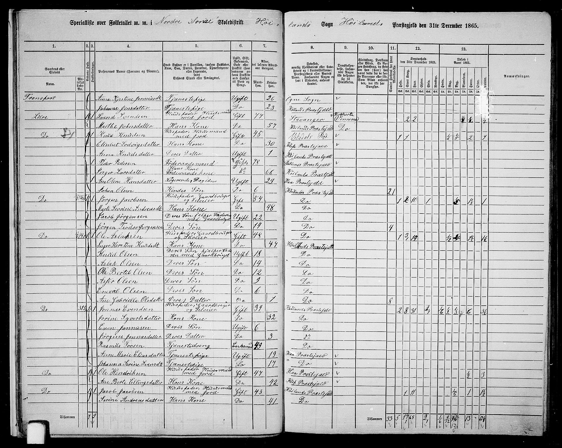 RA, 1865 census for Høyland, 1865, p. 15