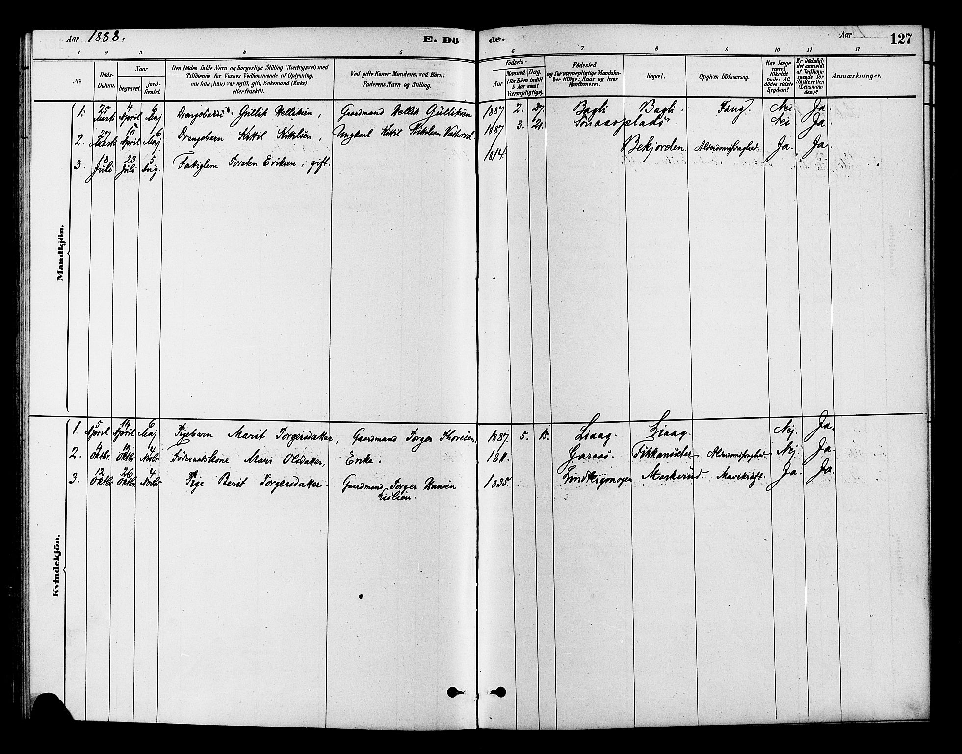 Flesberg kirkebøker, SAKO/A-18/F/Fc/L0001: Parish register (official) no. III 1, 1879-1905, p. 127