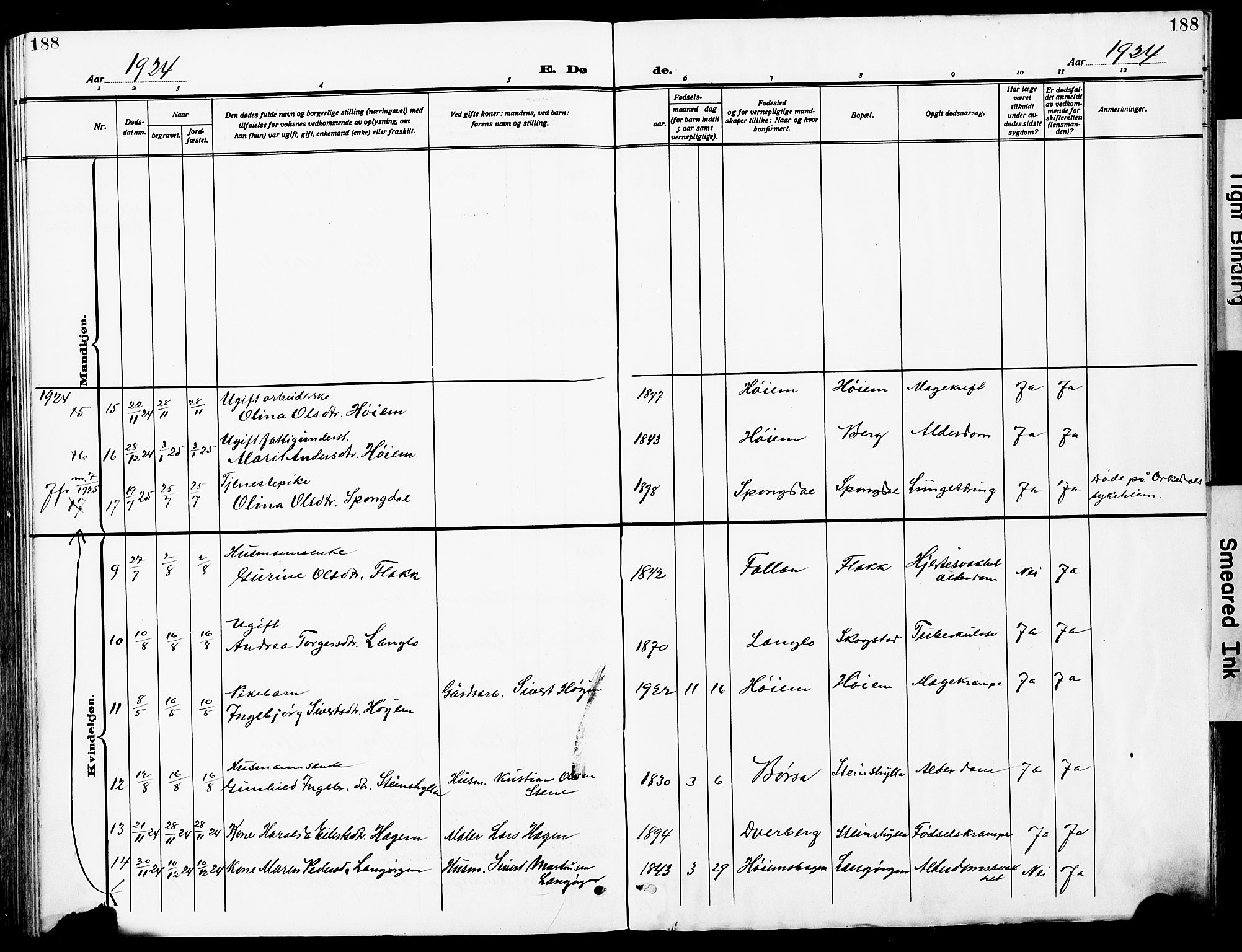 Ministerialprotokoller, klokkerbøker og fødselsregistre - Sør-Trøndelag, SAT/A-1456/612/L0388: Parish register (copy) no. 612C04, 1909-1929, p. 188