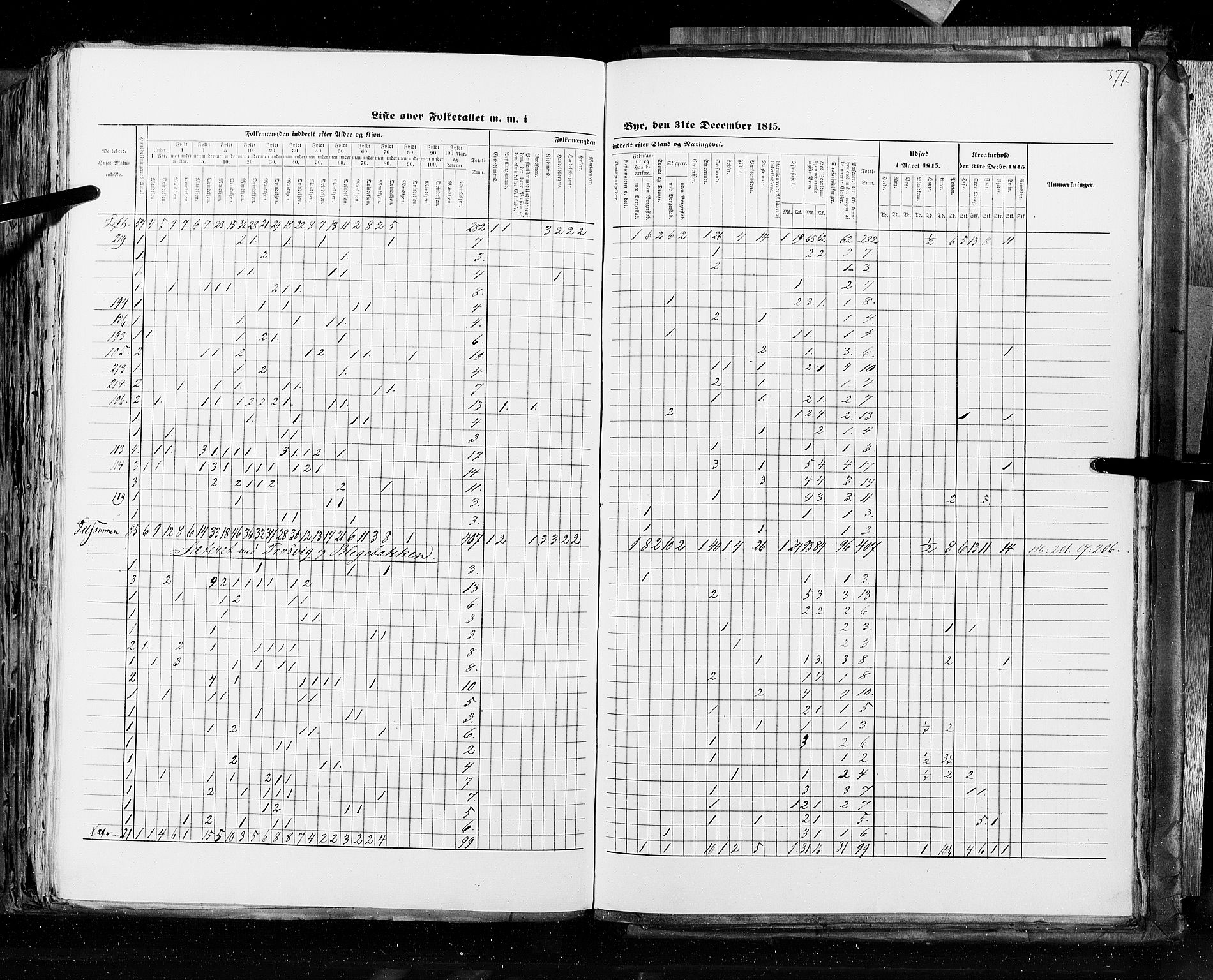 RA, Census 1845, vol. 10: Cities, 1845, p. 371