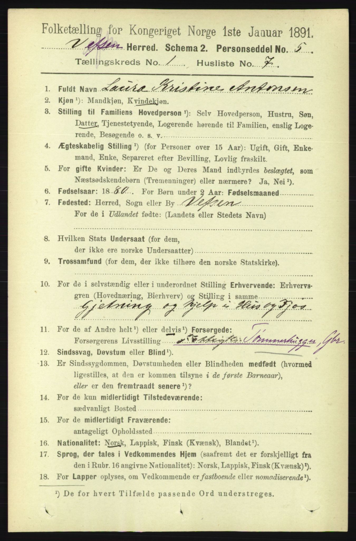 RA, 1891 census for 1824 Vefsn, 1891, p. 132