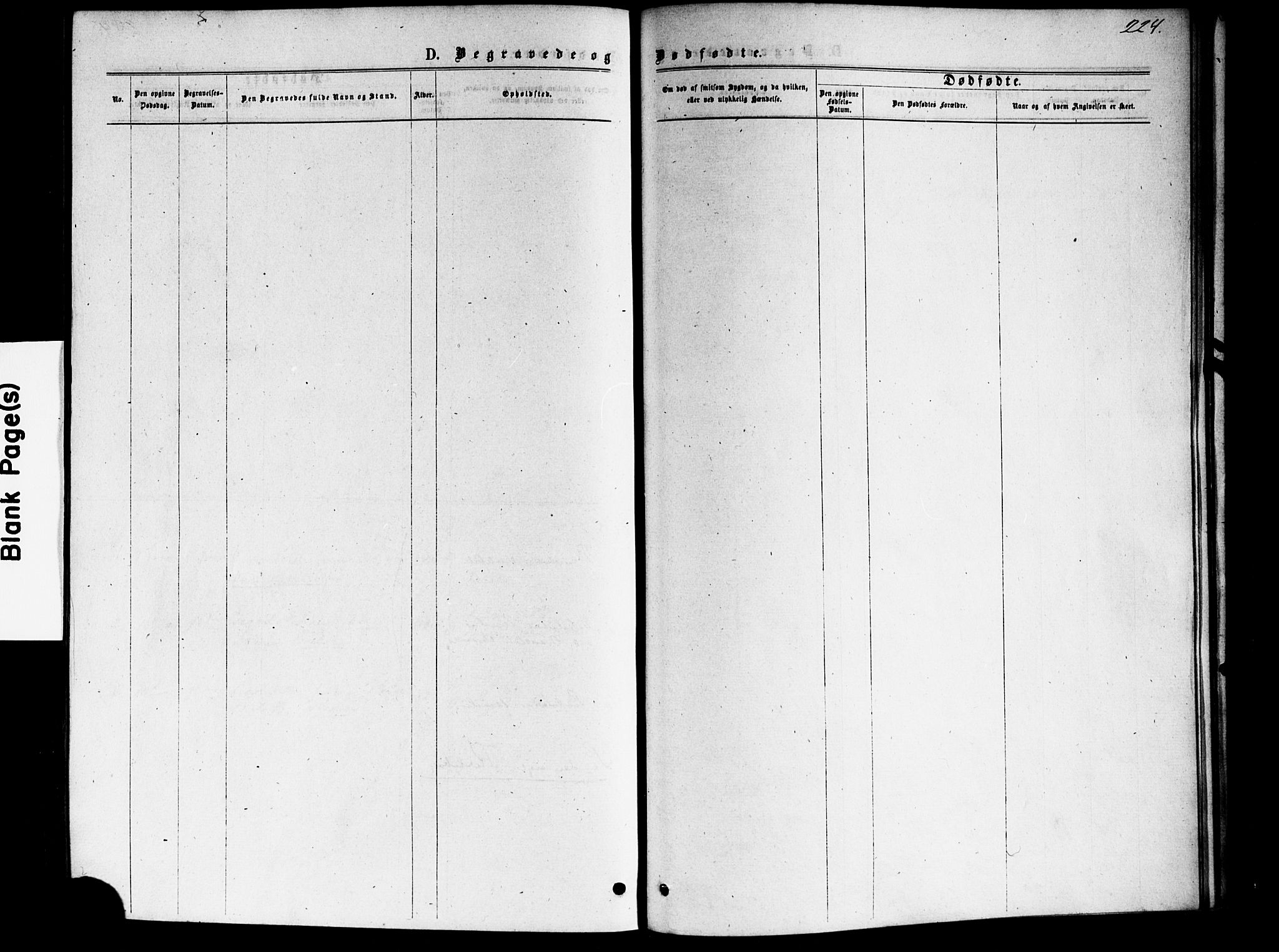 Vestre Aker prestekontor Kirkebøker, SAO/A-10025/F/Fa/L0006: Parish register (official) no. 6, 1873-1886, p. 224