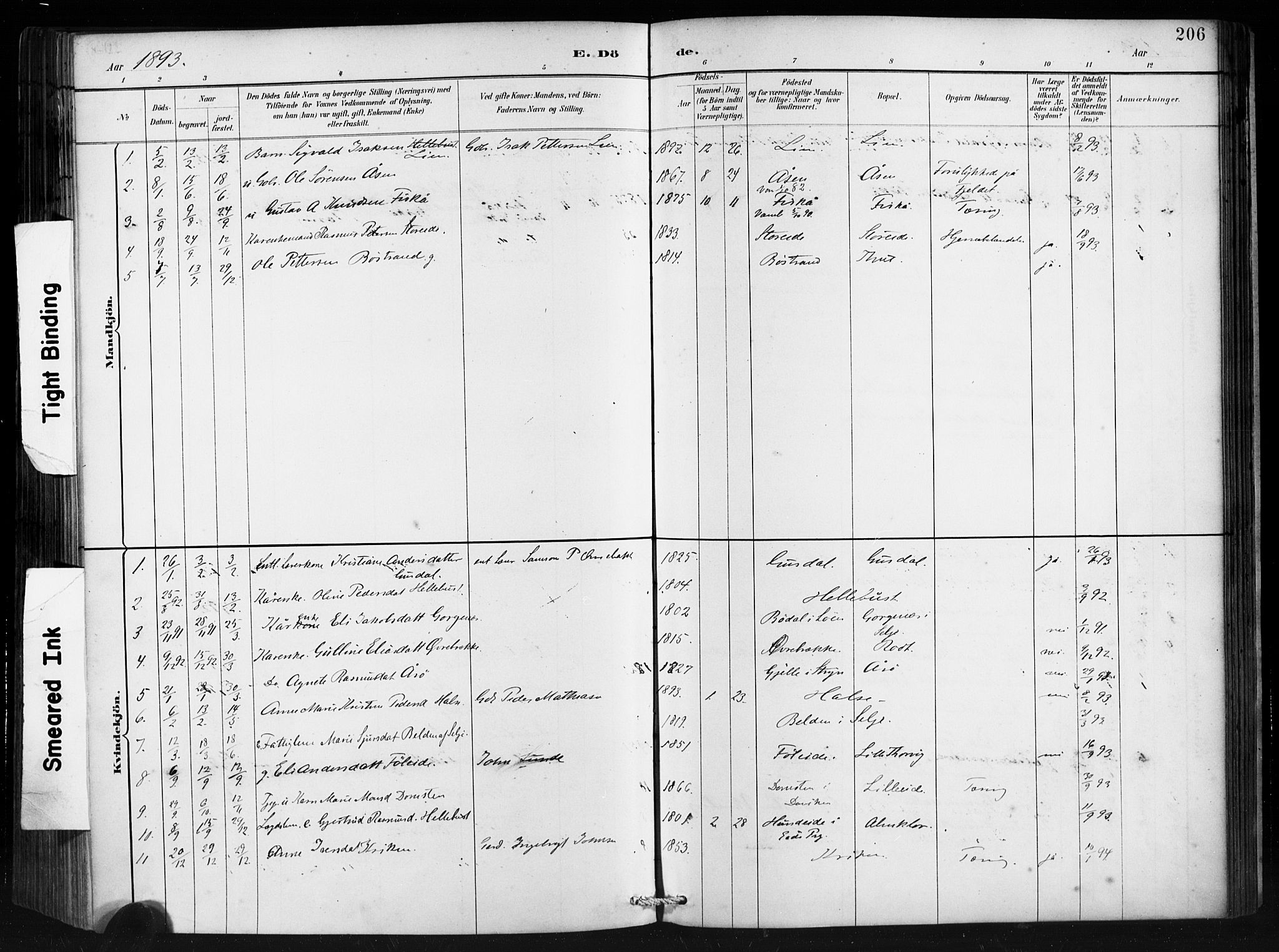 Ministerialprotokoller, klokkerbøker og fødselsregistre - Møre og Romsdal, AV/SAT-A-1454/501/L0008: Parish register (official) no. 501A08, 1885-1901, p. 206