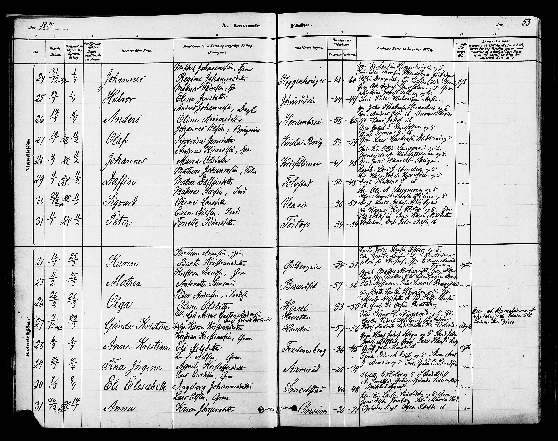 Ringsaker prestekontor, AV/SAH-PREST-014/L/La/L0009: Parish register (copy) no. 9, 1879-1890, p. 53