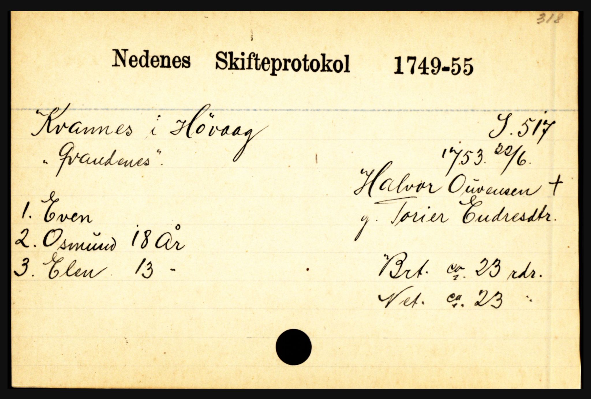 Nedenes sorenskriveri før 1824, AV/SAK-1221-0007/H, p. 16351