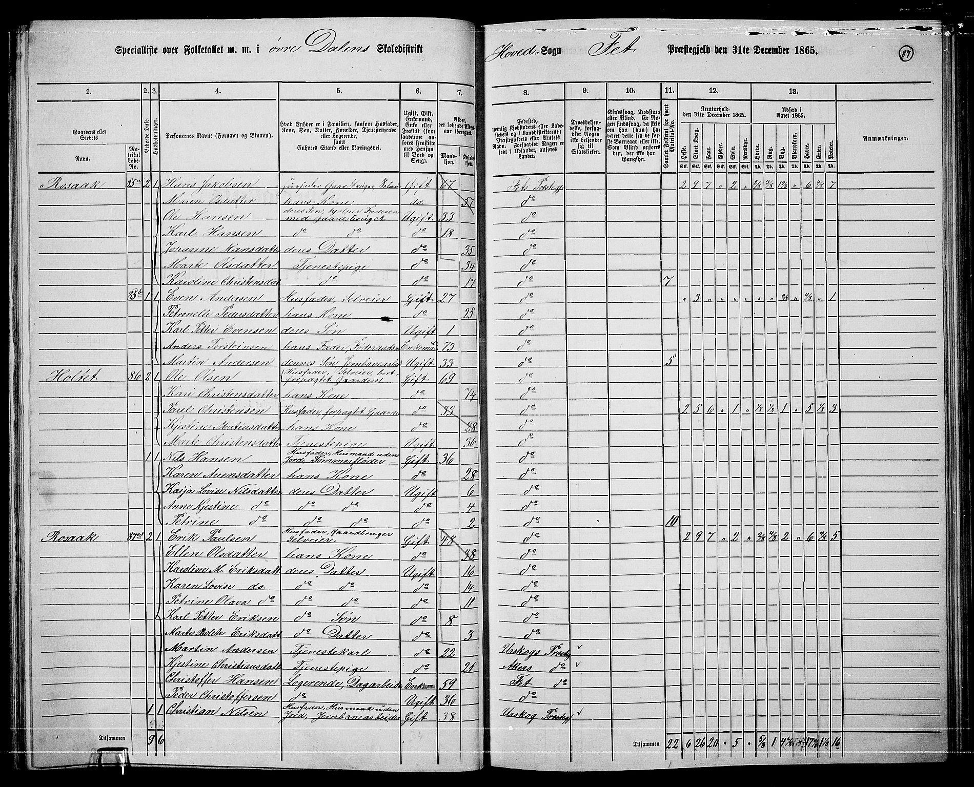 RA, 1865 census for Fet, 1865, p. 81