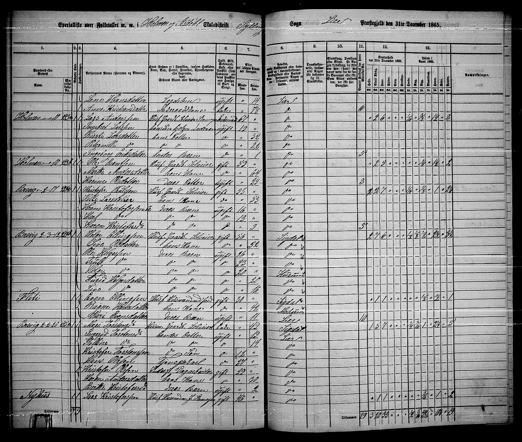 RA, 1865 census for Lier, 1865, p. 240