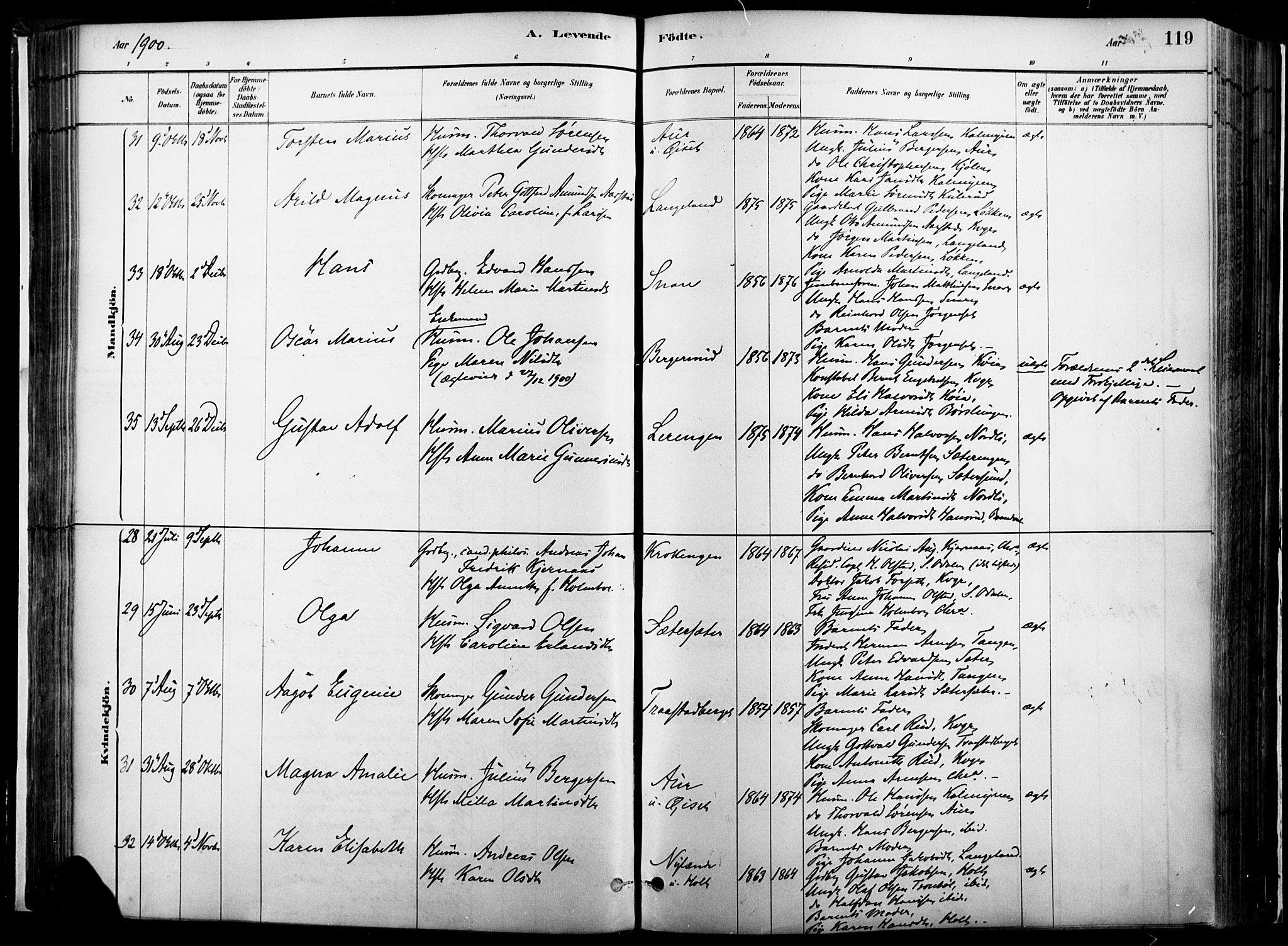 Vinger prestekontor, AV/SAH-PREST-024/H/Ha/Haa/L0014: Parish register (official) no. 14, 1881-1900, p. 119