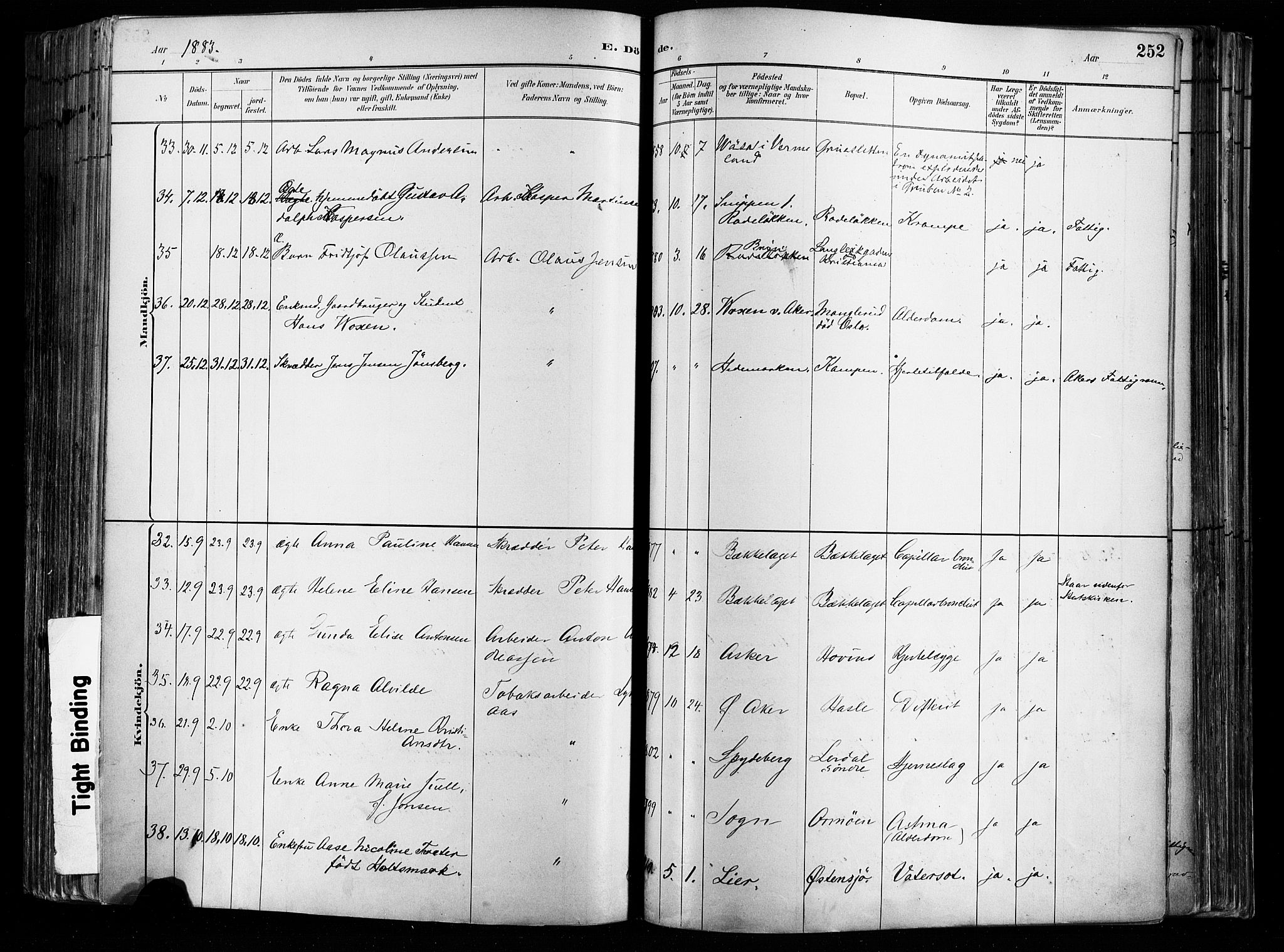 Østre Aker prestekontor Kirkebøker, AV/SAO-A-10840/F/Fa/L0008: Parish register (official) no. I 8, 1883-1894, p. 252