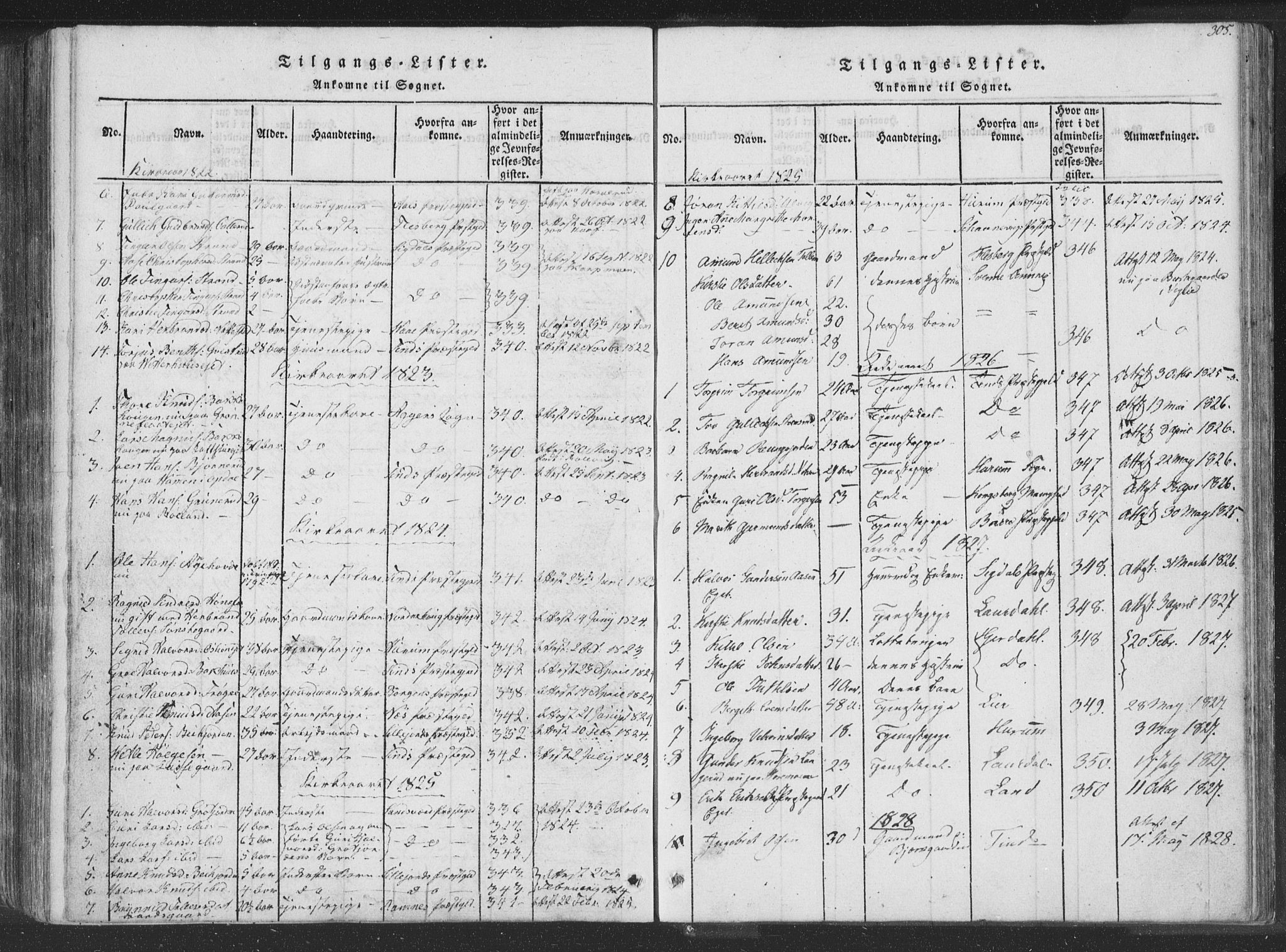 Rollag kirkebøker, SAKO/A-240/F/Fa/L0006: Parish register (official) no. I 6, 1814-1828, p. 305