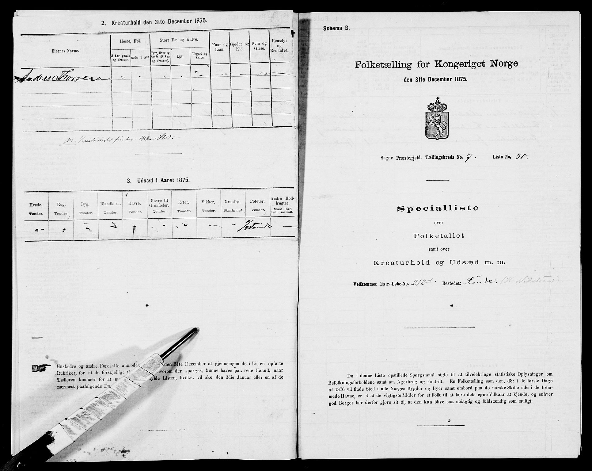 SAK, 1875 census for 1018P Søgne, 1875, p. 613