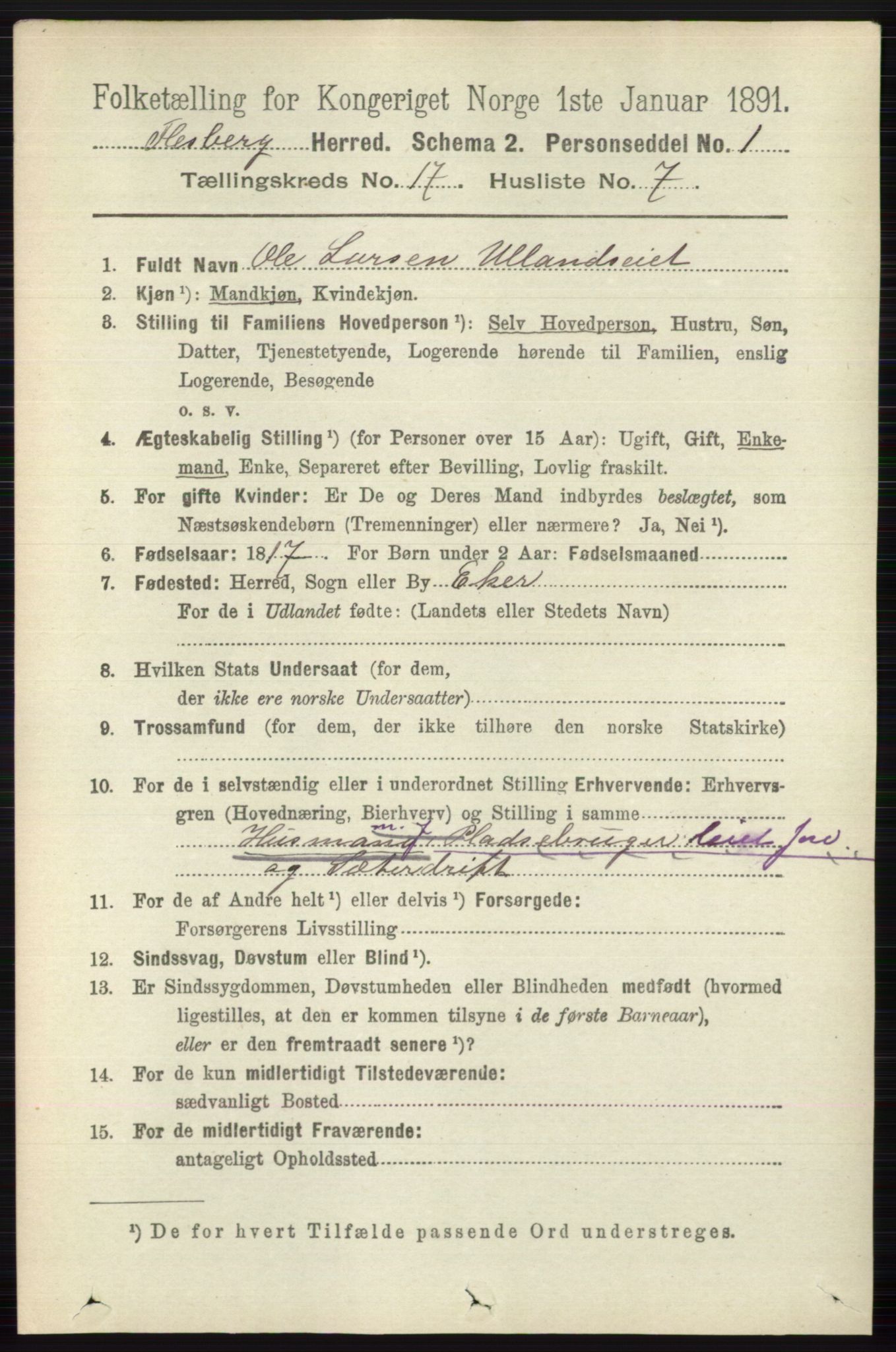 RA, 1891 census for 0631 Flesberg, 1891, p. 3026