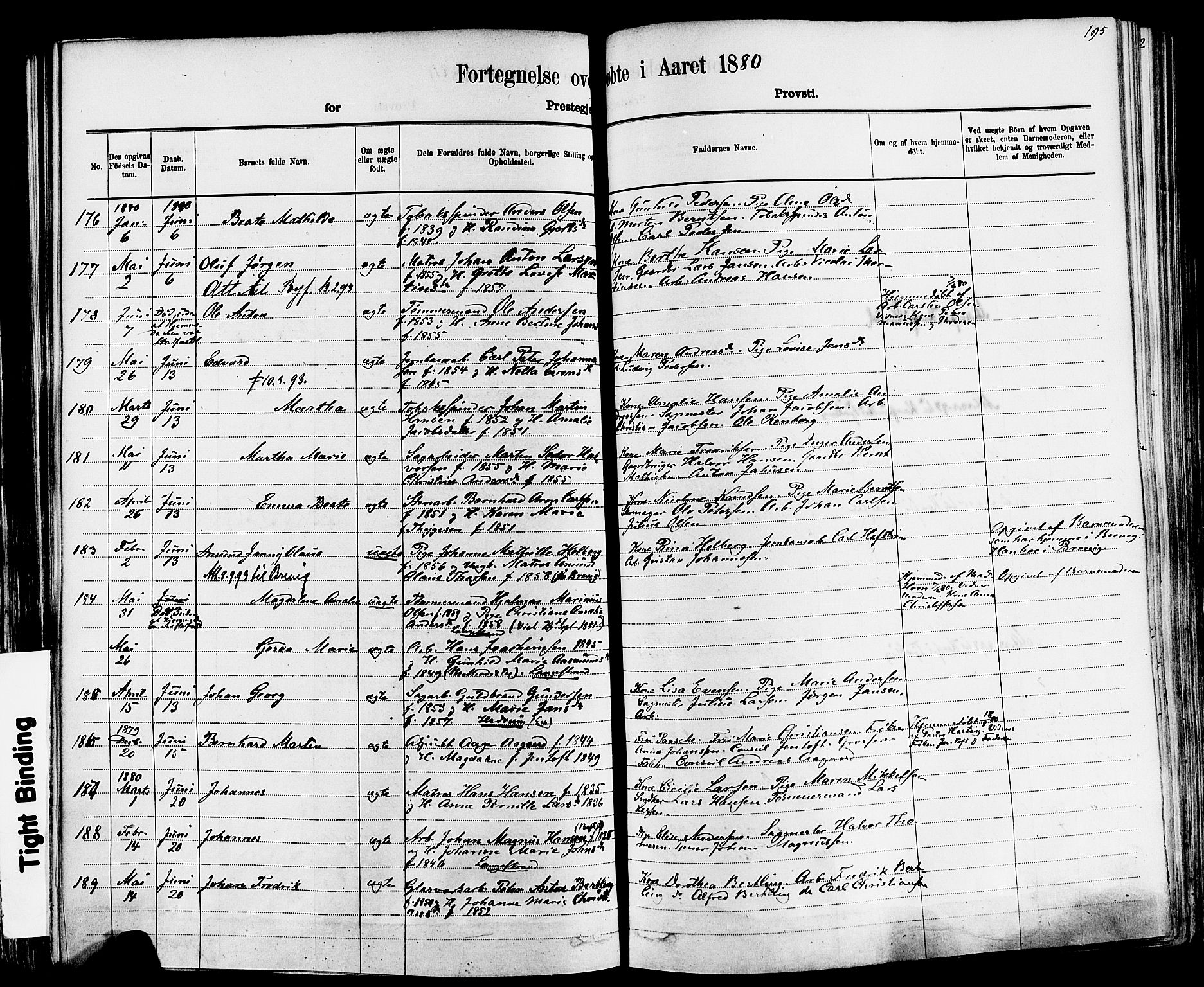 Larvik kirkebøker, AV/SAKO-A-352/F/Fa/L0006: Parish register (official) no. I 6, 1871-1883, p. 195