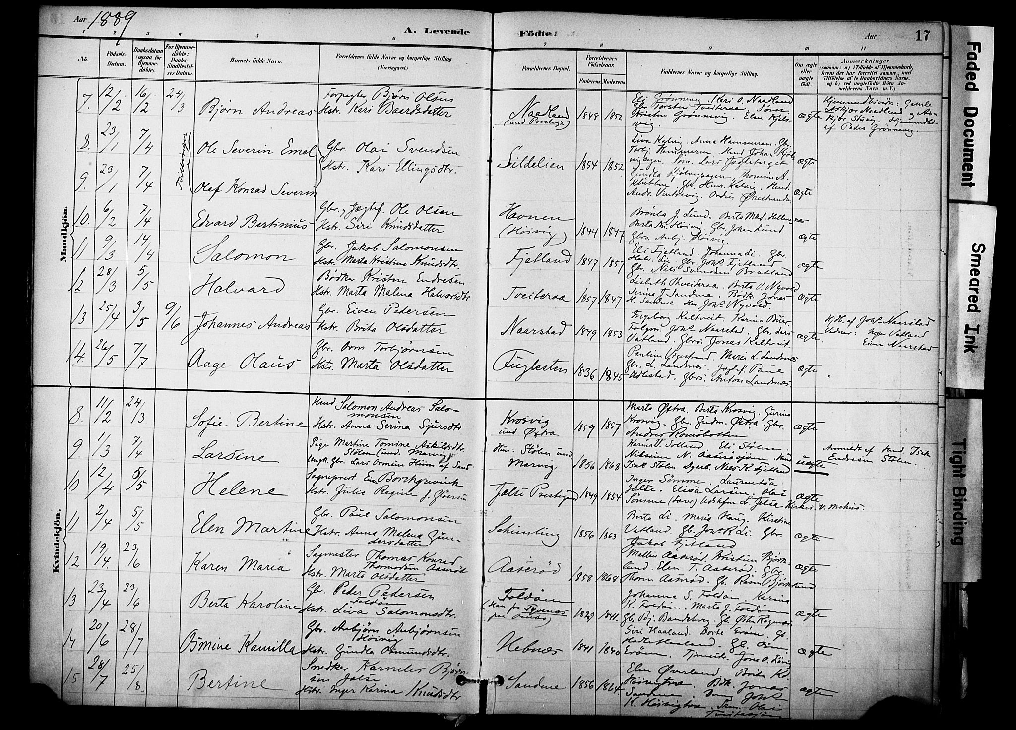 Jelsa sokneprestkontor, AV/SAST-A-101842/01/IV: Parish register (official) no. A 10, 1884-1906, p. 17