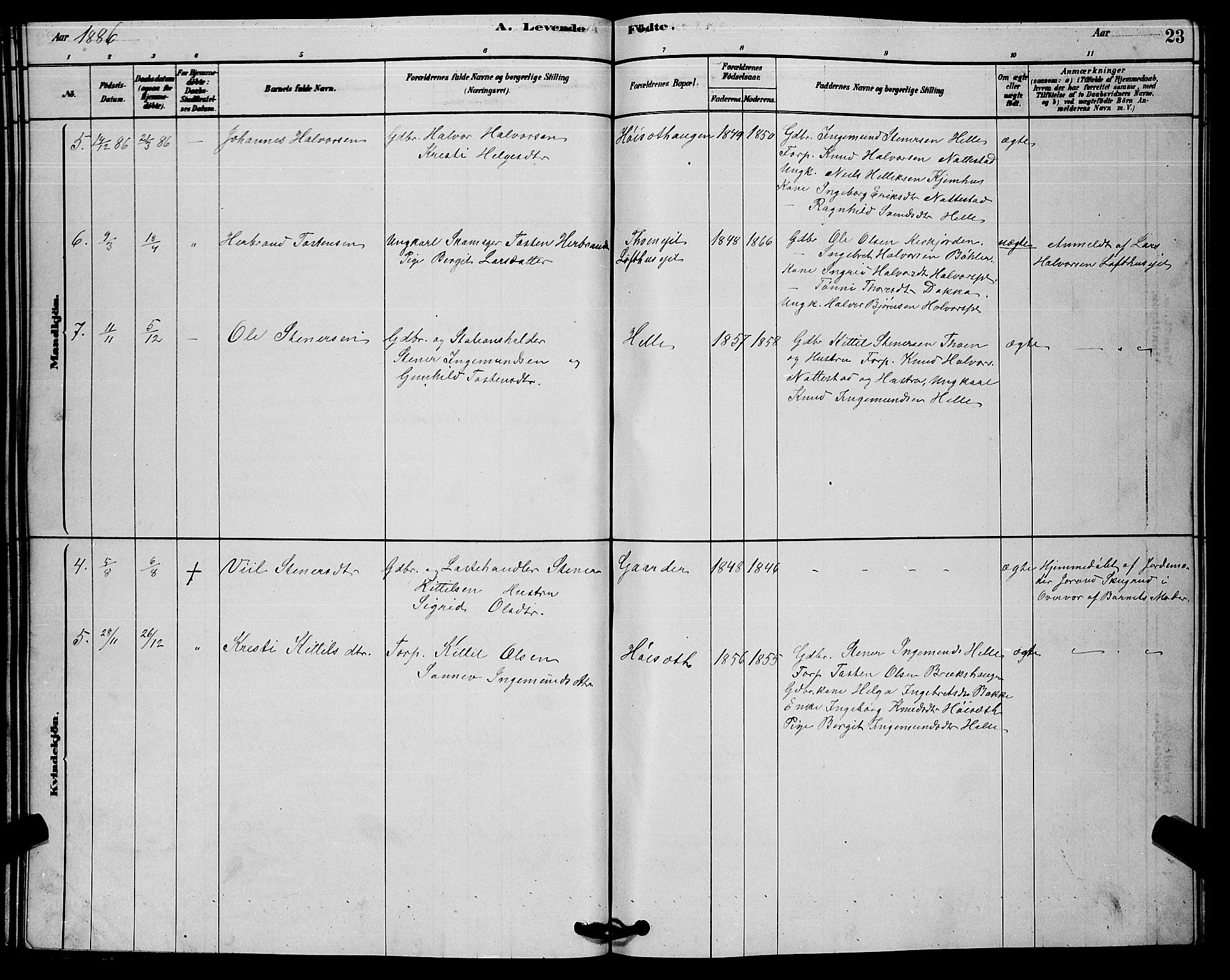 Rollag kirkebøker, AV/SAKO-A-240/G/Gb/L0002: Parish register (copy) no. II 2, 1878-1898, p. 23