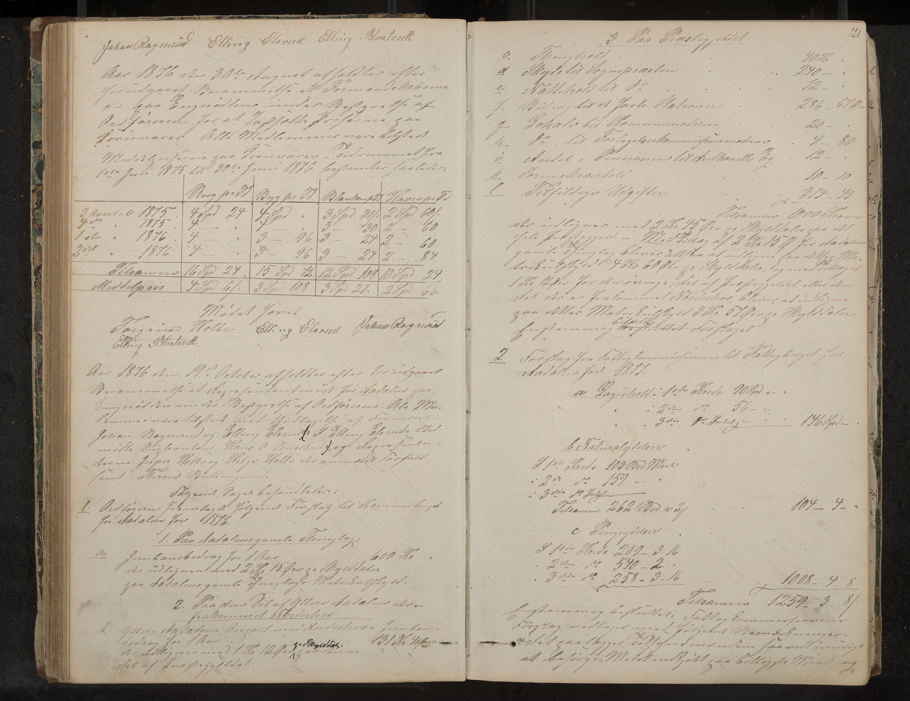 Ådal formannskap og sentraladministrasjon, IKAK/0614021/A/Aa/L0001: Møtebok, 1858-1891, p. 121