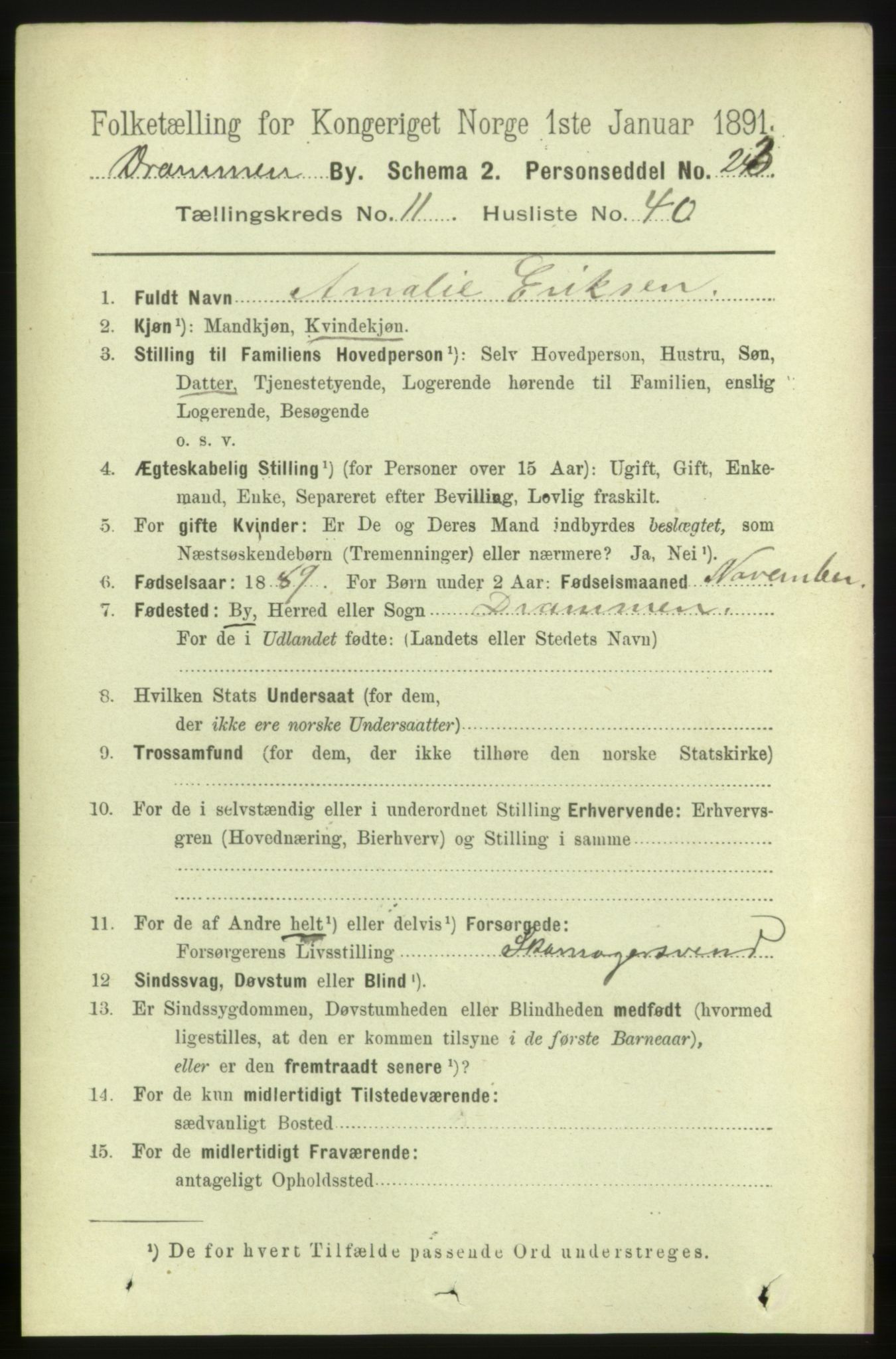 RA, 1891 census for 0602 Drammen, 1891, p. 8956