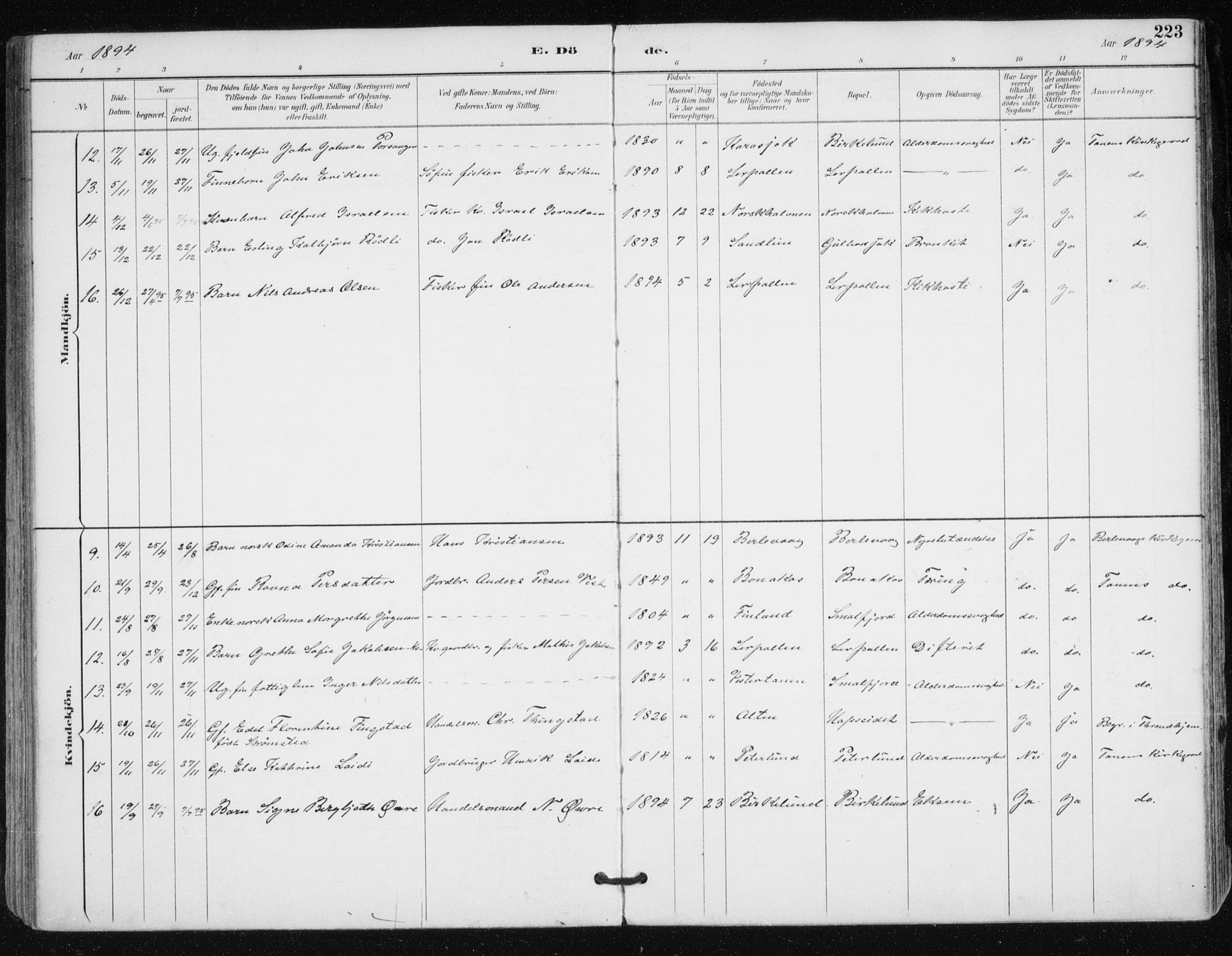 Tana sokneprestkontor, AV/SATØ-S-1334/H/Ha/L0005kirke: Parish register (official) no. 5, 1891-1903, p. 223