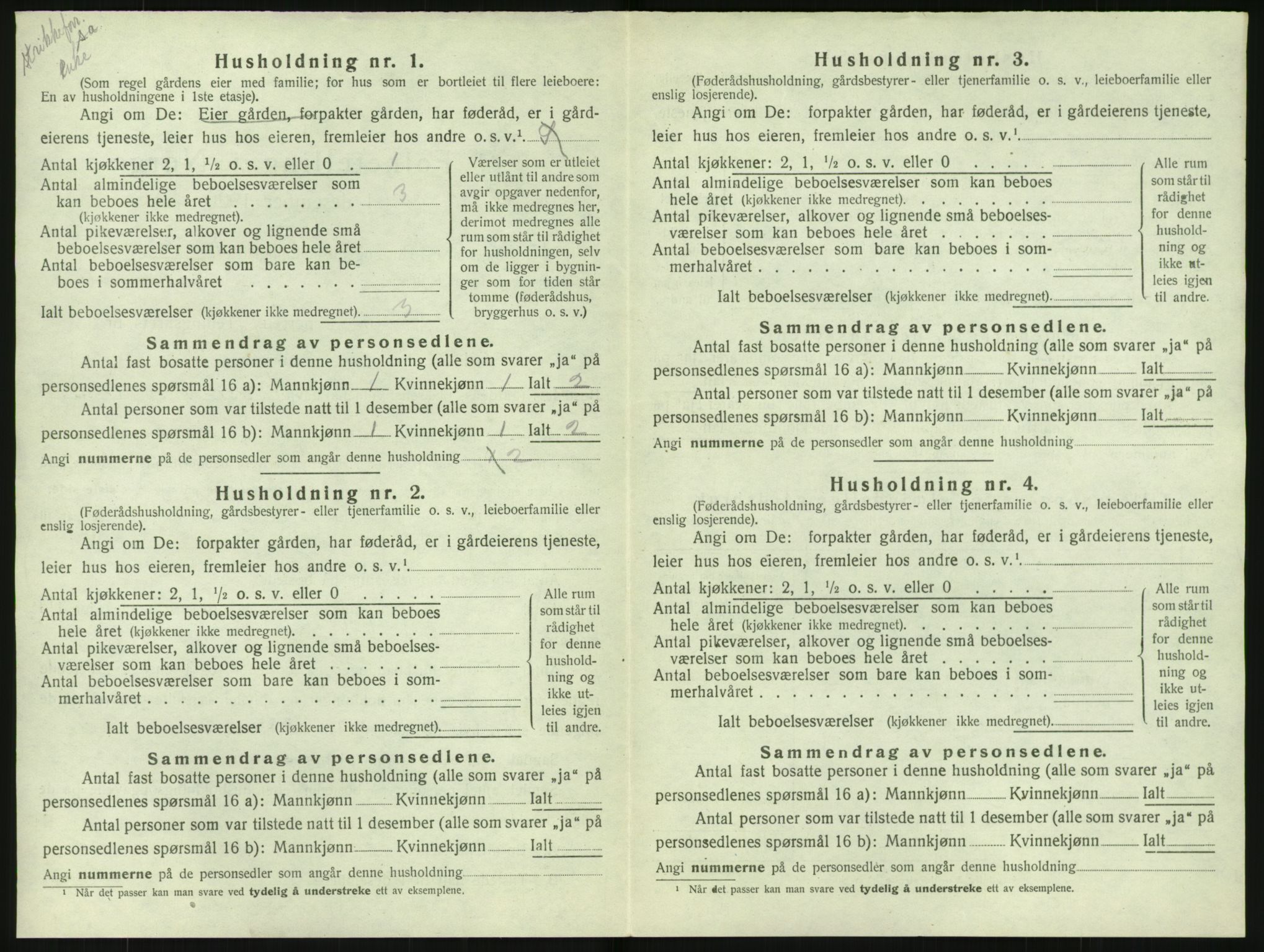 SAK, 1920 census for Nes (V-A), 1920, p. 1025