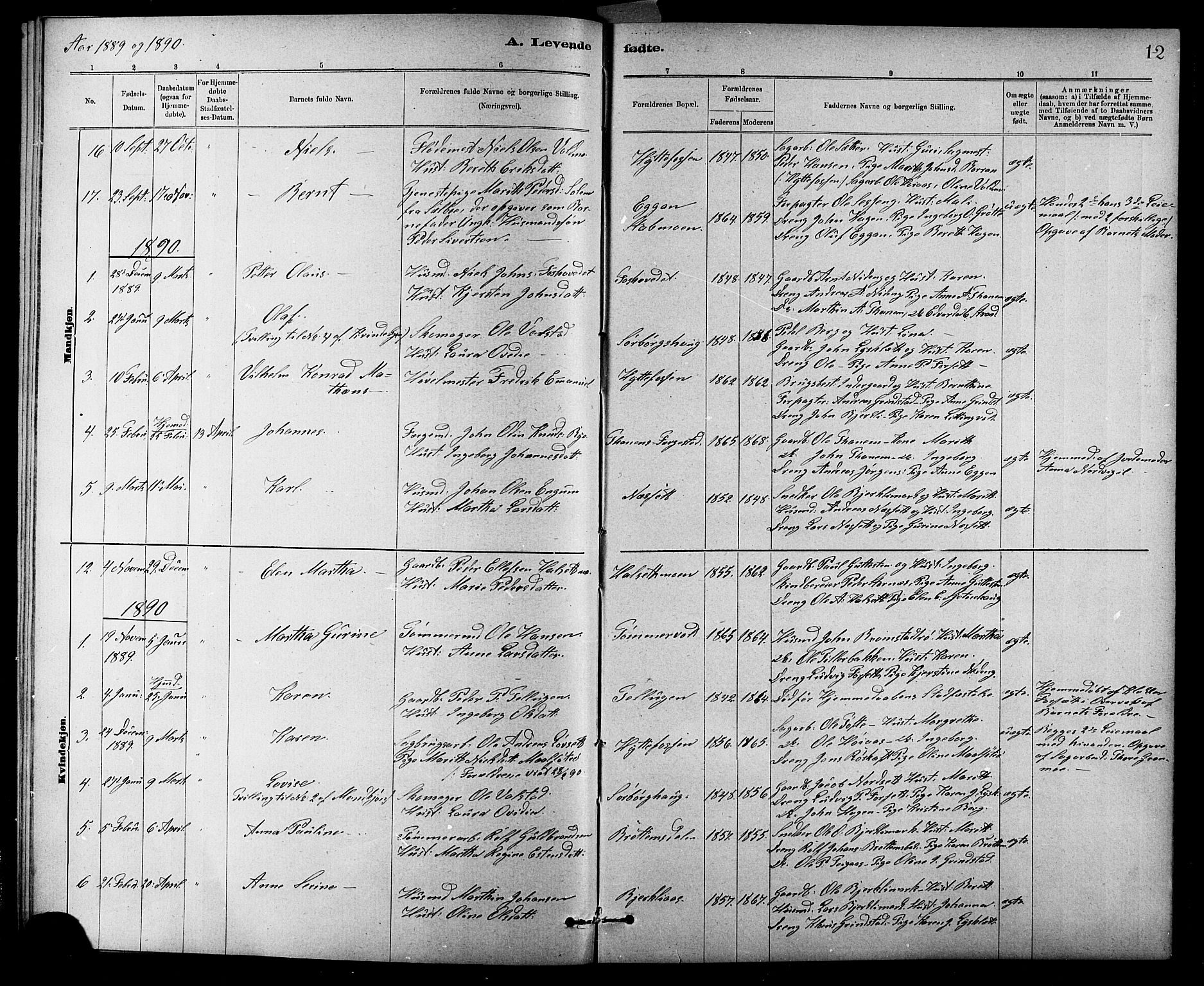 Ministerialprotokoller, klokkerbøker og fødselsregistre - Sør-Trøndelag, SAT/A-1456/618/L0452: Parish register (copy) no. 618C03, 1884-1906, p. 12