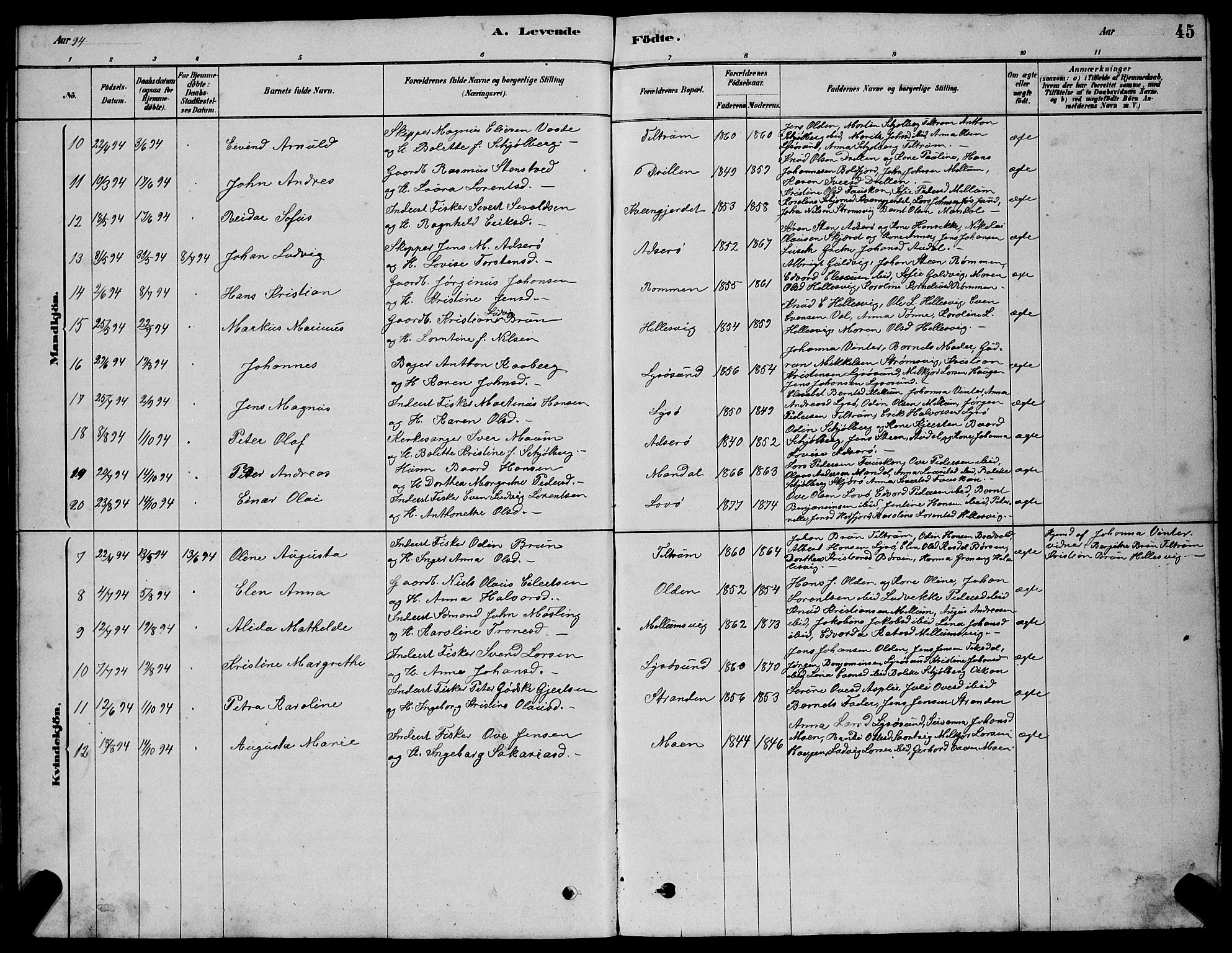 Ministerialprotokoller, klokkerbøker og fødselsregistre - Sør-Trøndelag, SAT/A-1456/654/L0665: Parish register (copy) no. 654C01, 1879-1901, p. 45