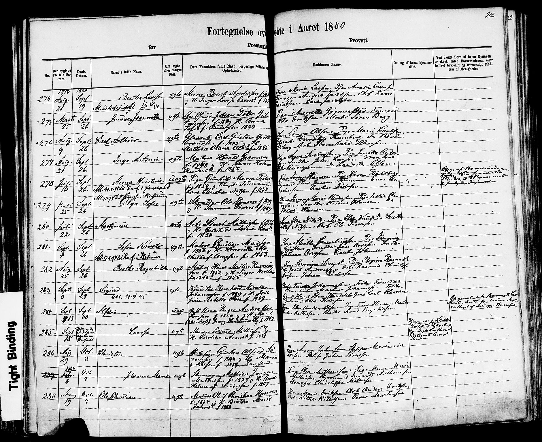 Larvik kirkebøker, AV/SAKO-A-352/F/Fa/L0006: Parish register (official) no. I 6, 1871-1883, p. 202