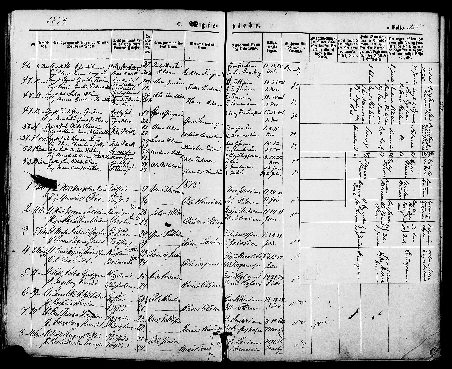Holt sokneprestkontor, SAK/1111-0021/F/Fa/L0010: Parish register (official) no. A 10, 1872-1885, p. 265