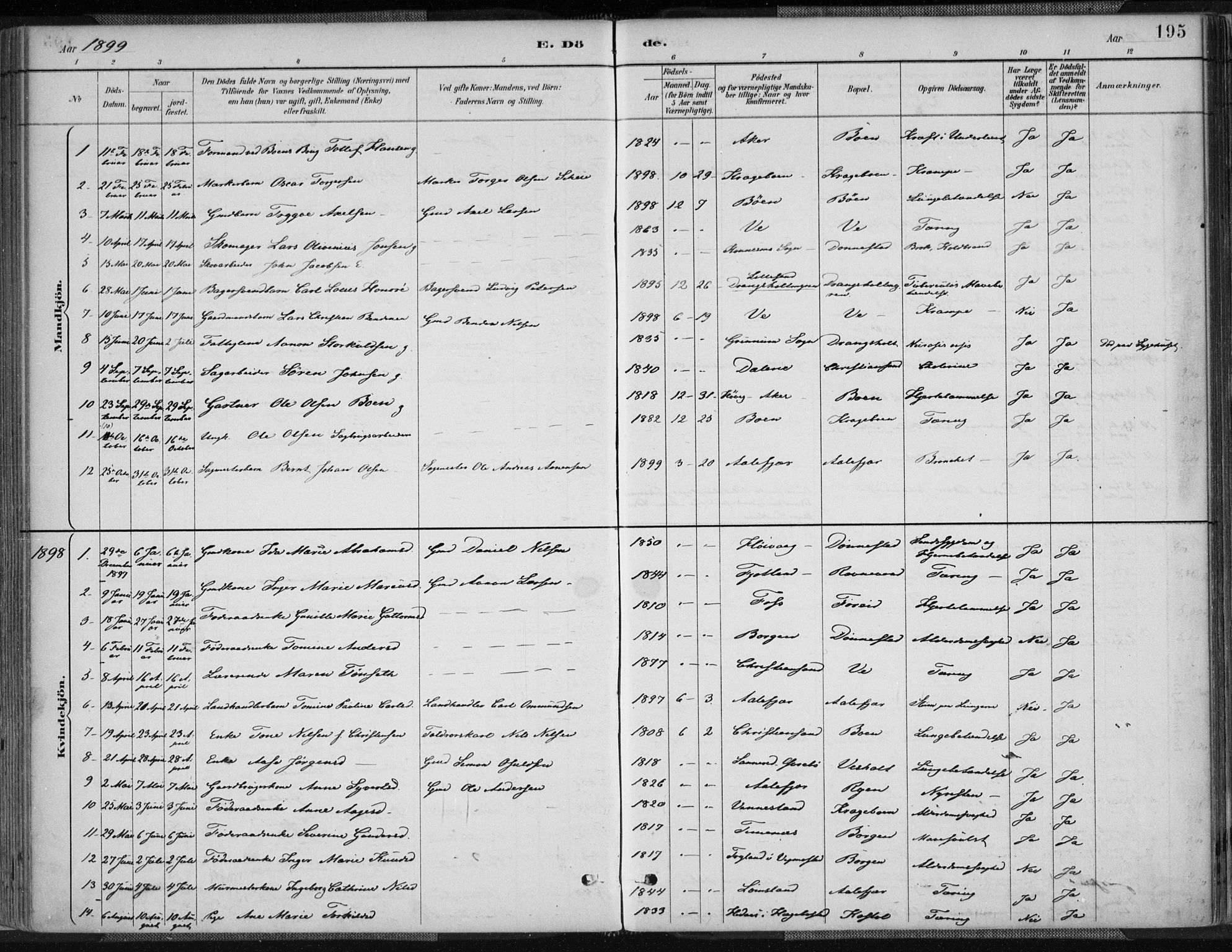 Tveit sokneprestkontor, AV/SAK-1111-0043/F/Fa/L0007: Parish register (official) no. A 7, 1887-1908, p. 195