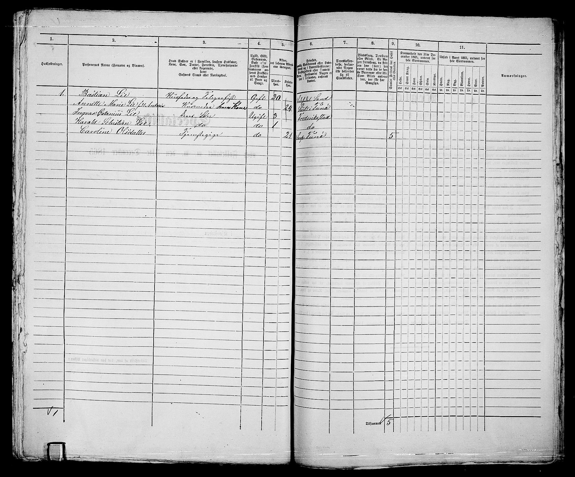 RA, 1865 census for Sarpsborg, 1865, p. 460