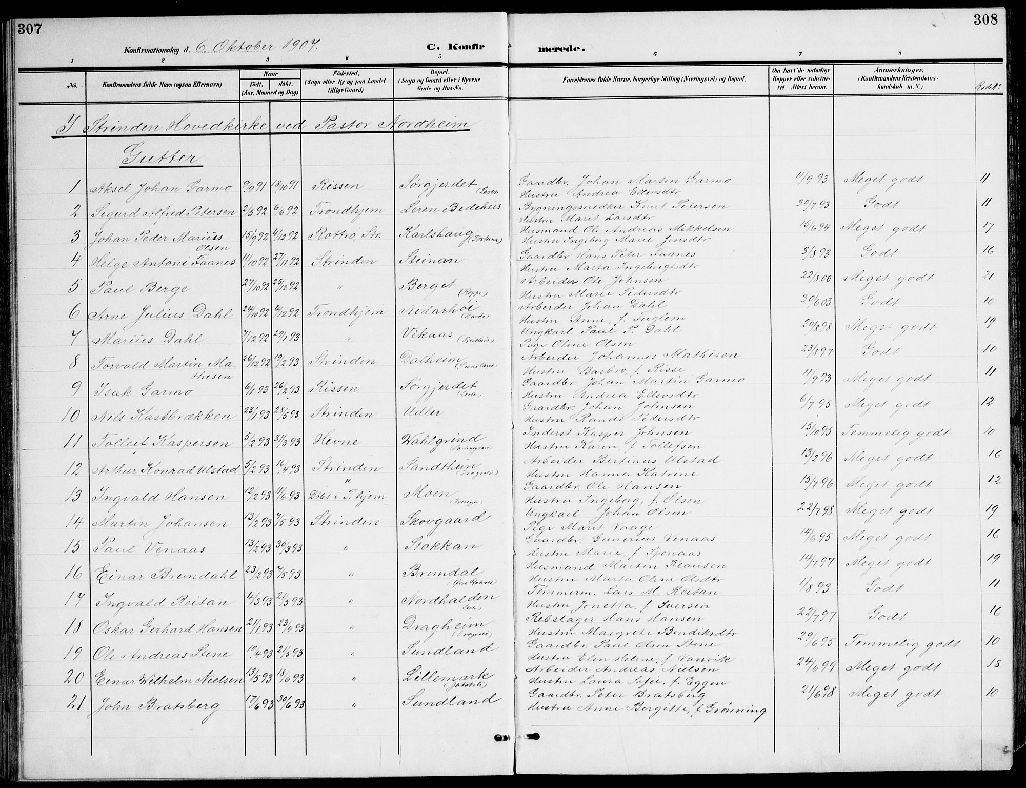 Ministerialprotokoller, klokkerbøker og fødselsregistre - Sør-Trøndelag, AV/SAT-A-1456/607/L0320: Parish register (official) no. 607A04, 1907-1915, p. 307-308