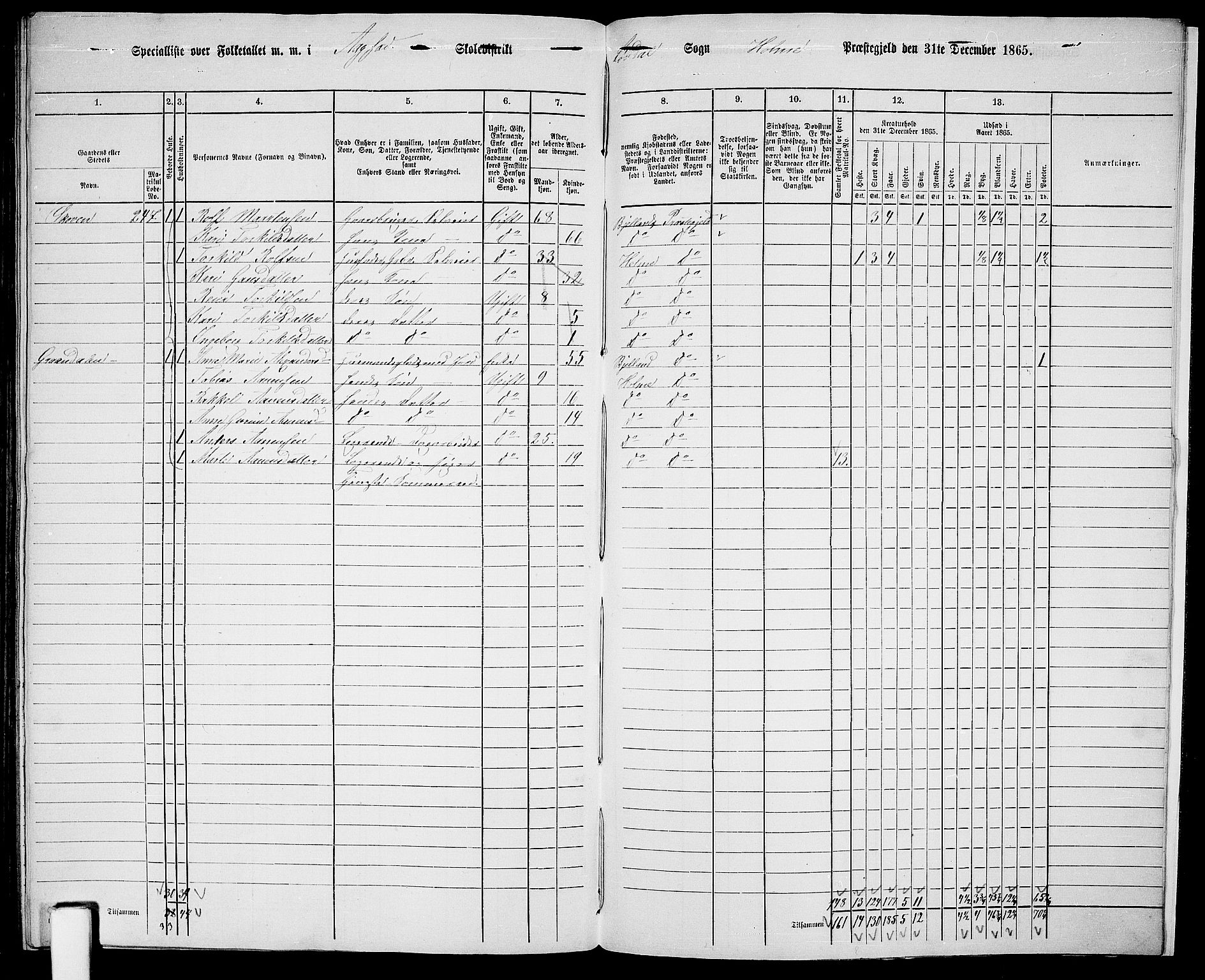 RA, 1865 census for Holum, 1865, p. 178